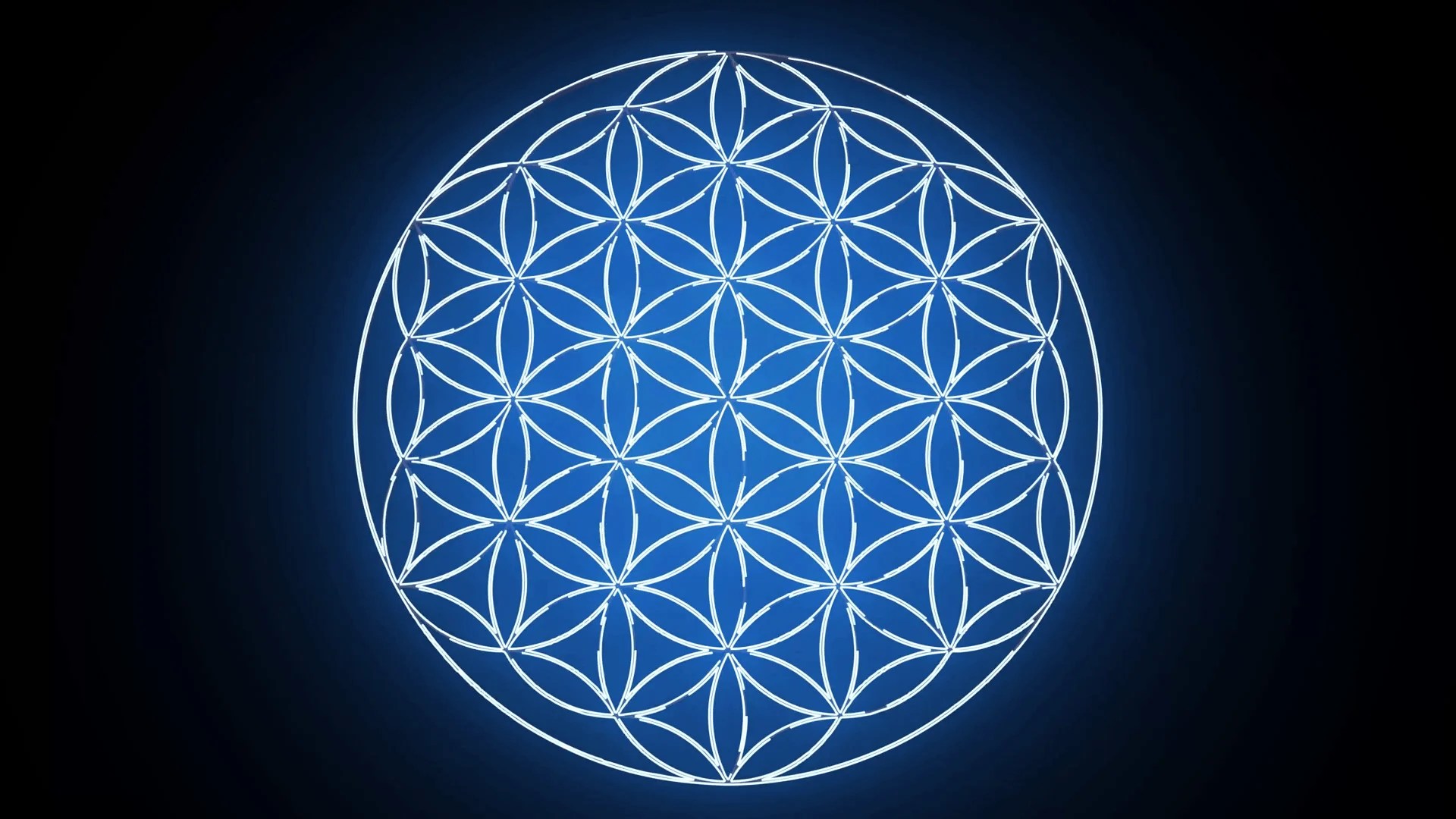 Download flower of life transparent background and use any clip art,coloring,png graphics in your website, document or presentation. Flower Of Life Wallpapers Top Free Flower Of Life Backgrounds Wallpaperaccess