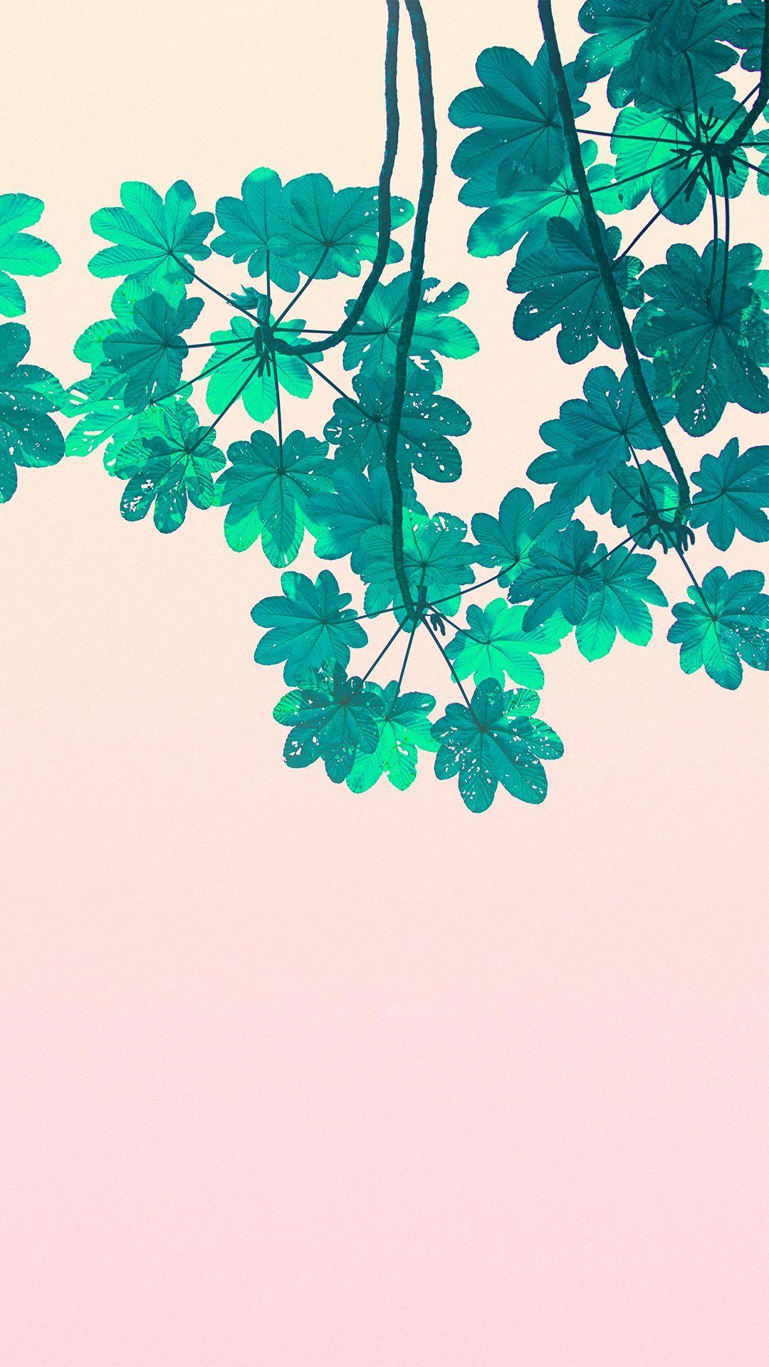 Save and download the photo to your camera roll. Cute Aesthetic Plant Wallpapers - Top Free Cute Aesthetic Plant Backgrounds - WallpaperAccess
