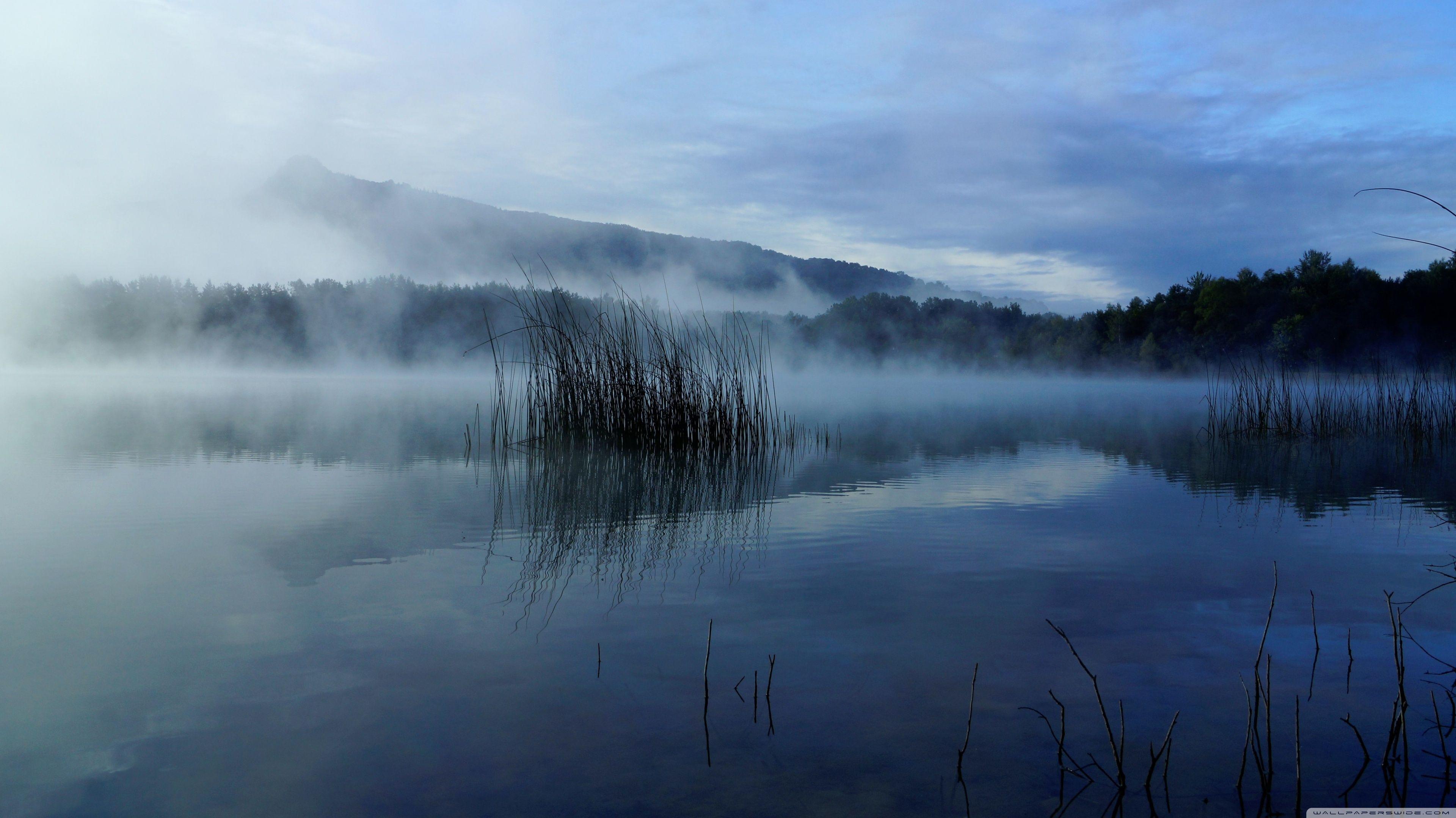 Fog as an image element. Foggy Landscape Wallpapers Top Free Foggy Landscape Backgrounds Wallpaperaccess