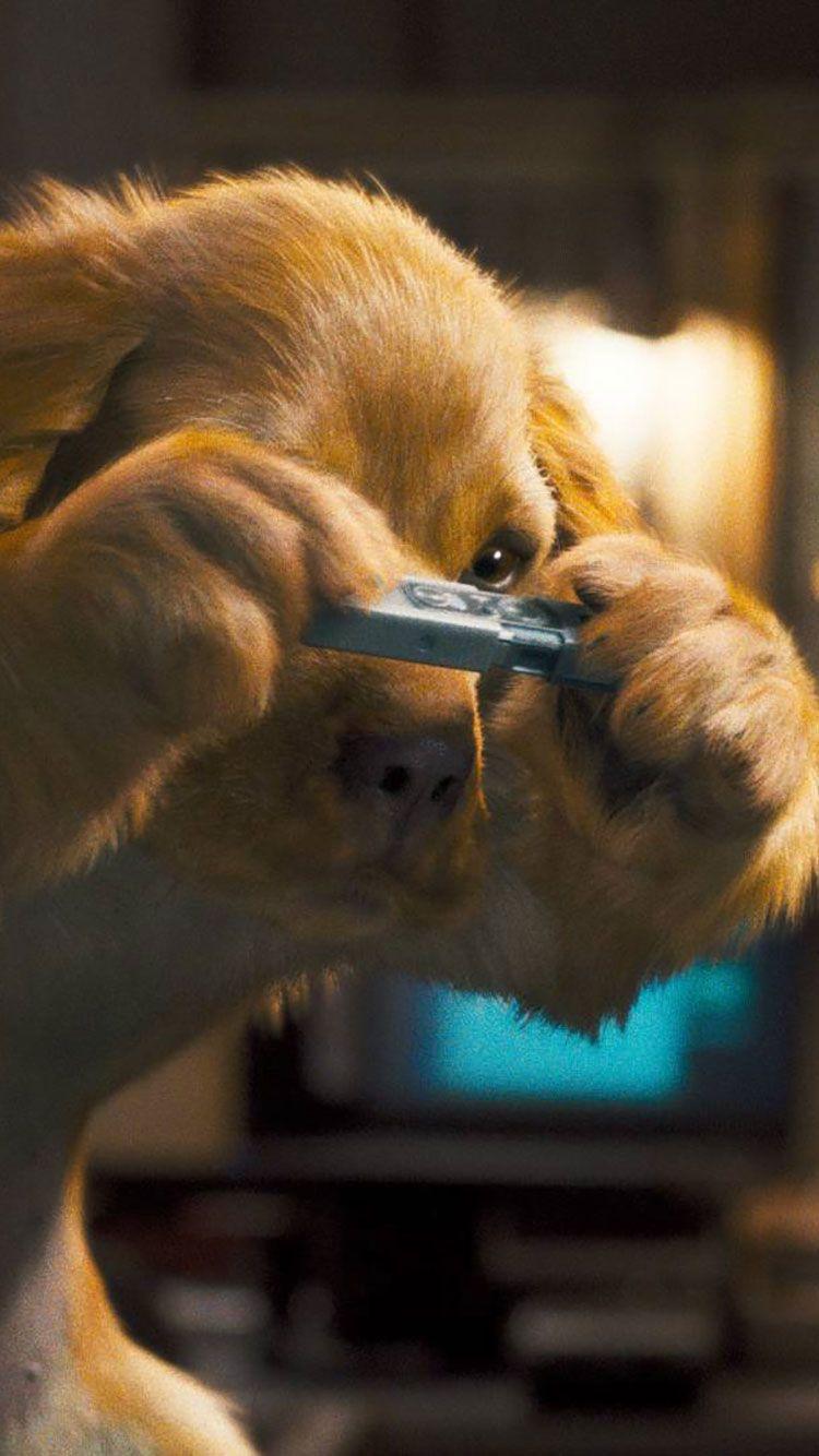 Awesome slideshow feature to view all wallpapers without using your finger. Dog Iphone Wallpapers Top Free Dog Iphone Backgrounds Wallpaperaccess