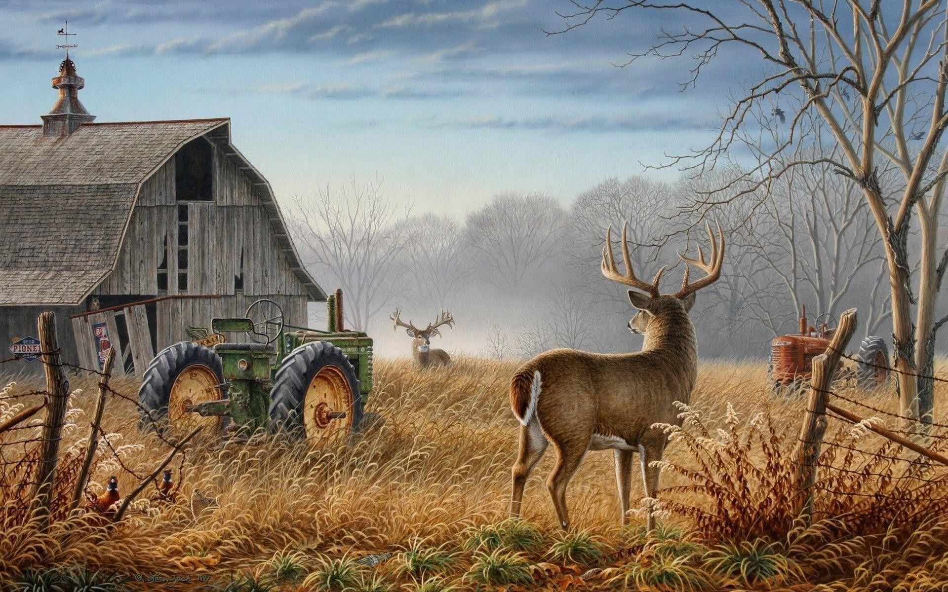 When your business needs funding, choosing the right option can make all the difference. Hunting Fishing Desktop Wallpapers Top Free Hunting Fishing Desktop Backgrounds Wallpaperaccess