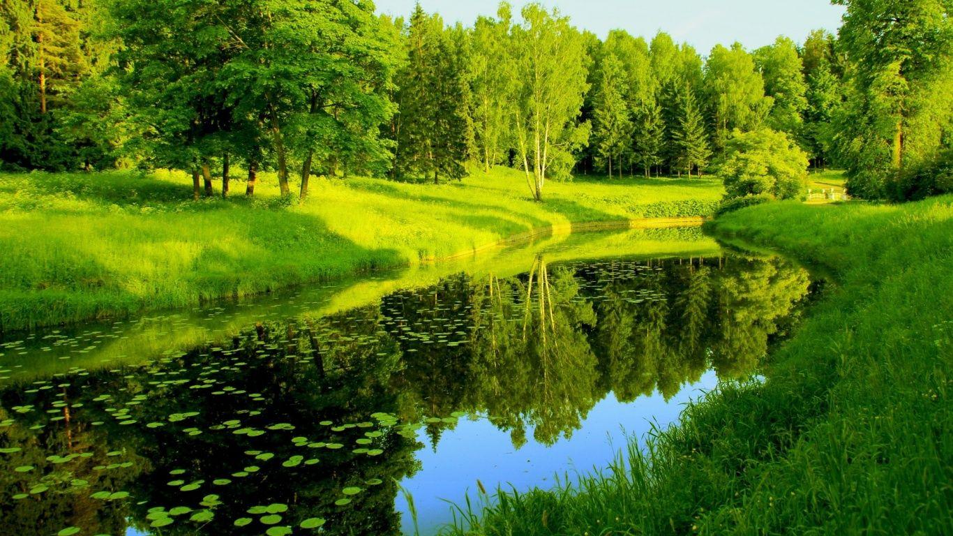1366x768 Nature Wallpapers Top Free 1366x768 Nature Backgrounds Wallpaperaccess