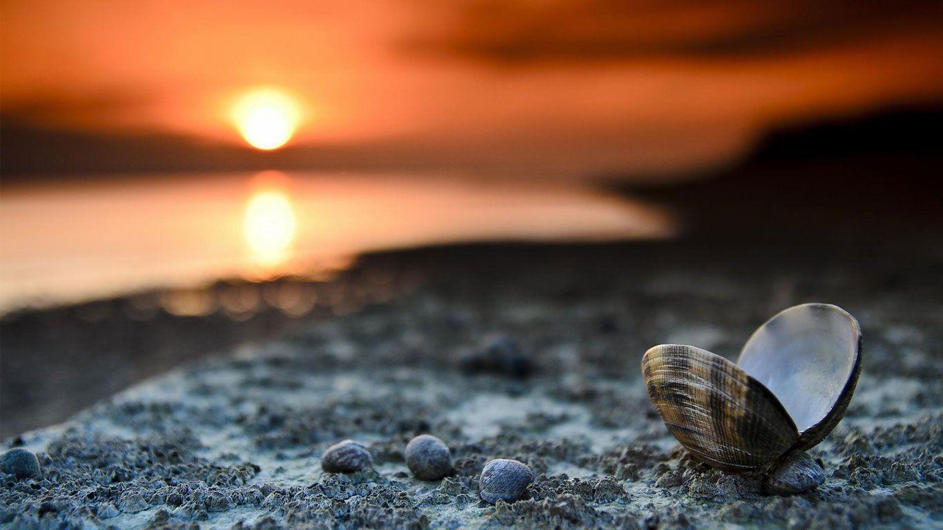 Enter for a chance to win a pan digital hd download starring hugh jackman! Hd Laptop Wallpapers Top Free Hd Laptop Backgrounds Wallpaperaccess