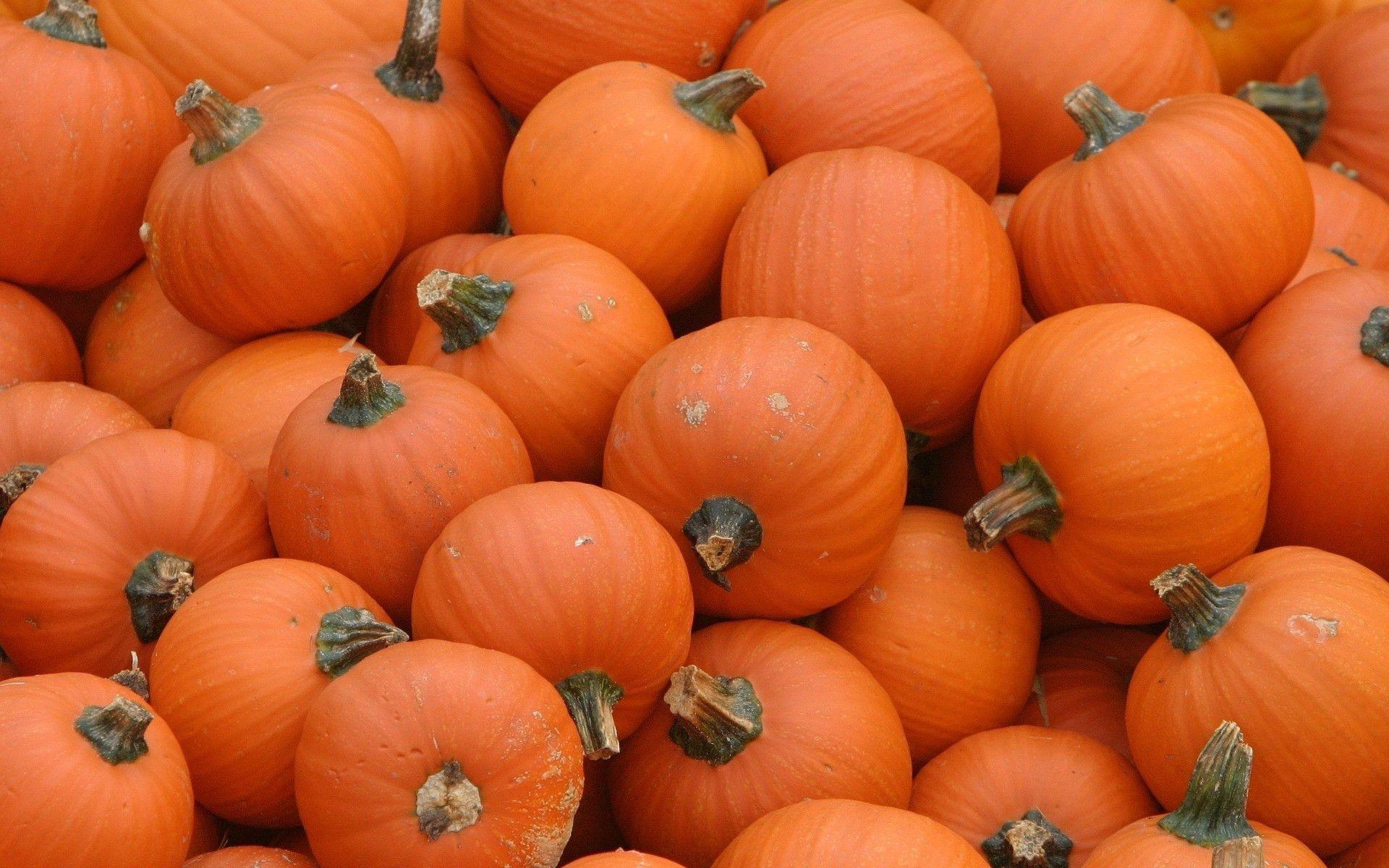 Some of us work at our computers for many hours during the day and night, but there's no reason you can't bring a little fun and charm to your desk by personalizing your computer's wallpaper. Free Pumpkin Wallpaper Backgrounds Wallpaper Cave