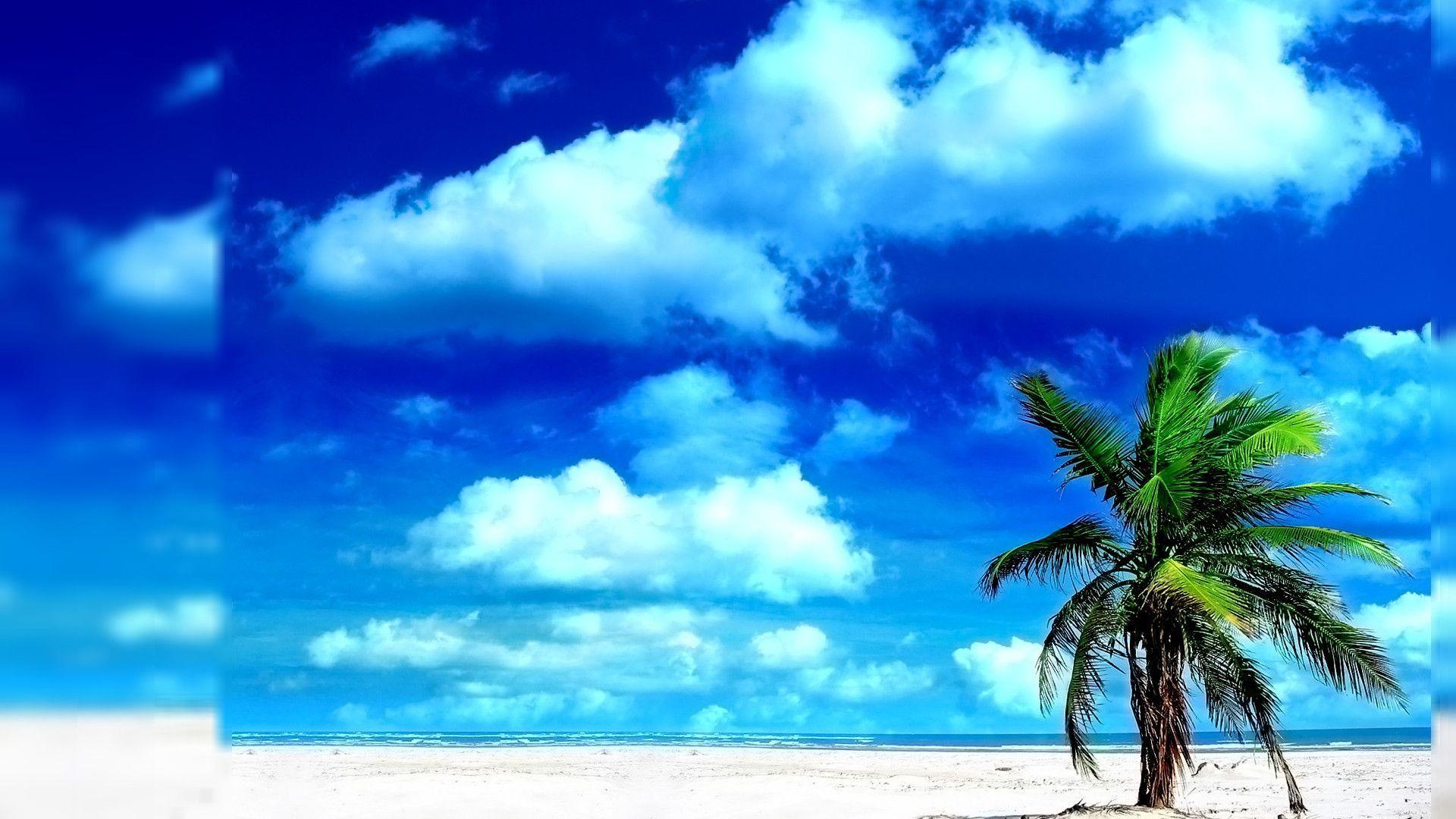 Green beach 1080p, 2k, 4k, 5k hd wallpapers free download, these wallpapers are free download for pc, laptop, iphone, android phone and ipad desktop. Beach Backgrounds For Desktop Wallpaper Cave