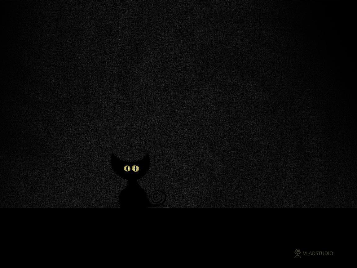 Just like there are dog people in th. Black Cat Wallpapers Wallpaper Cave
