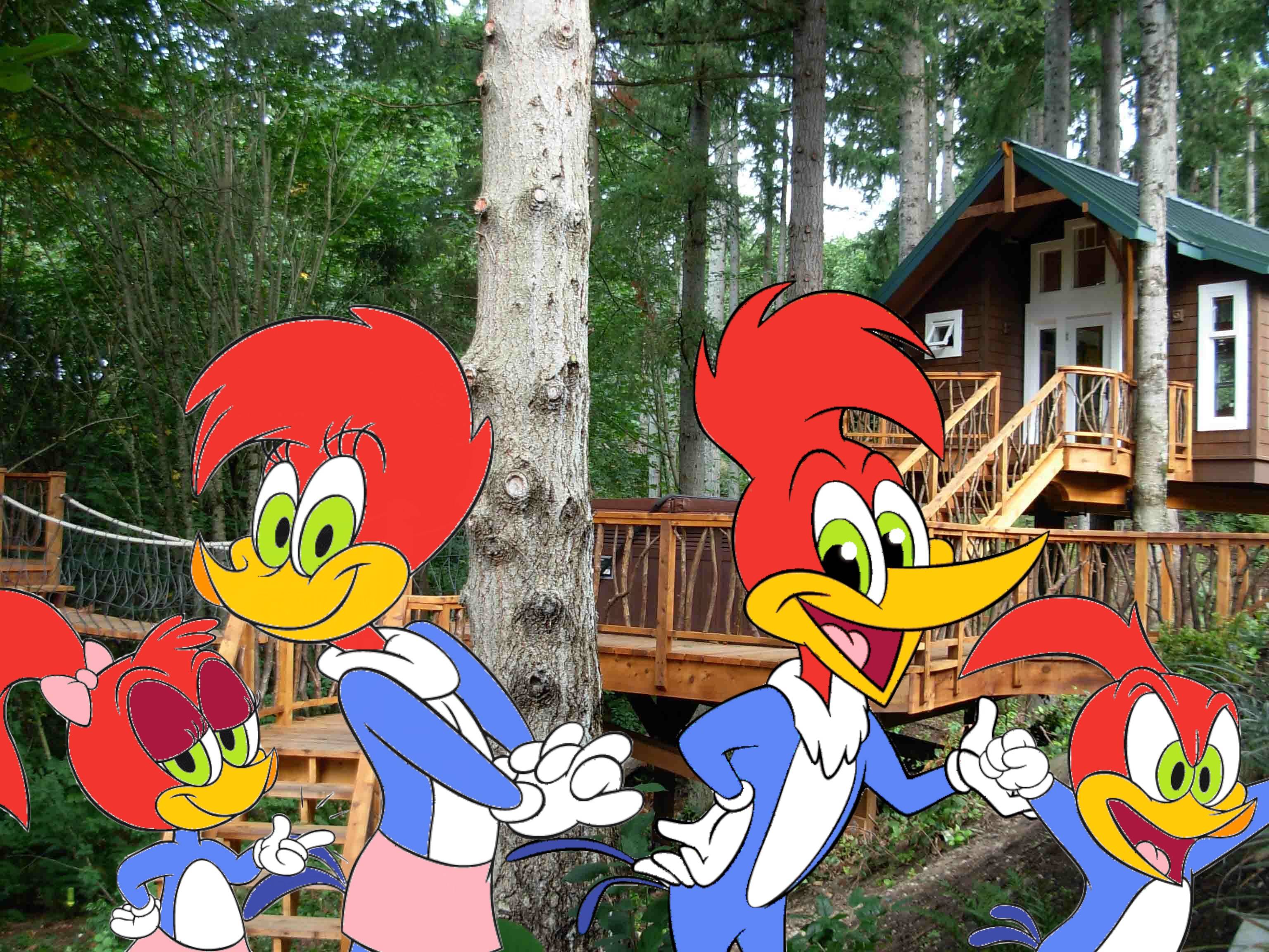 # anime # animation # movie # film # fire. Woody Woodpecker Wallpapers - Wallpaper Cave