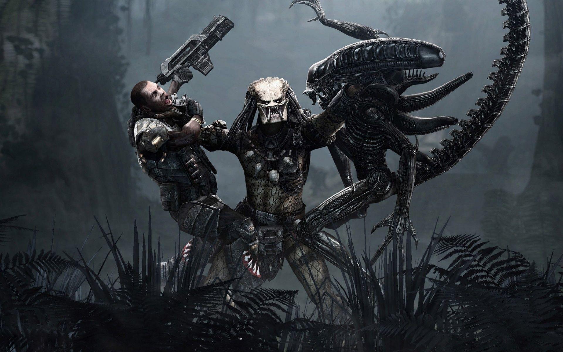 Ultimate predator wallpapers predator movie, predator alien, 8k wallpaper, . Alien Vs Predator Wallpapers Wallpaper Cave
