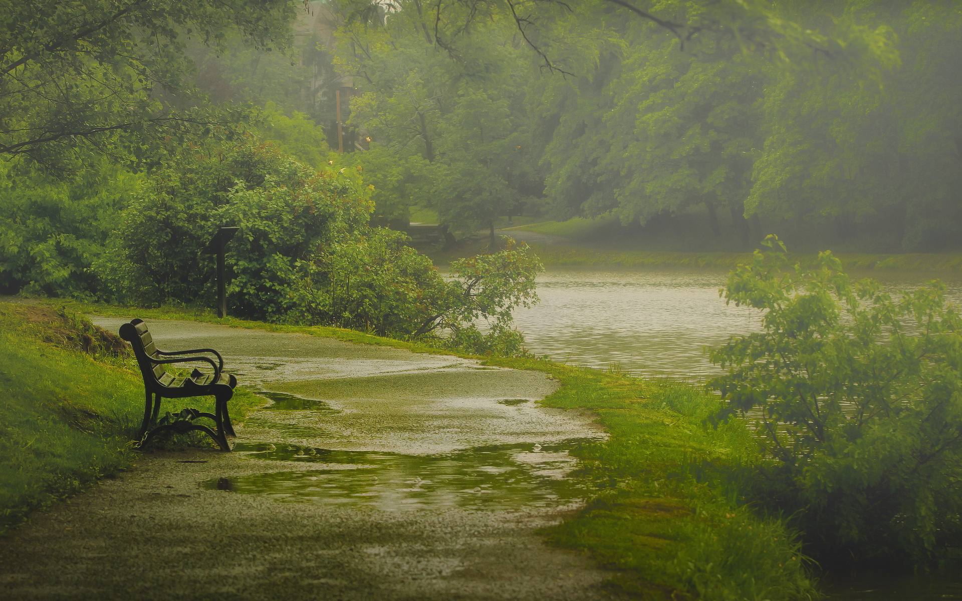 Click to viewlooking for a new job in a struggling economy is hard work. Nature Rain Wallpapers - Wallpaper Cave