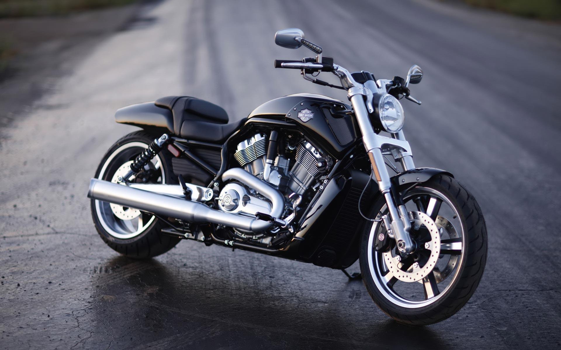 You can also upload and share your favorite harley davidson wallpapers. Free Harley Davidson Desktop Wallpapers Wallpaper Cave