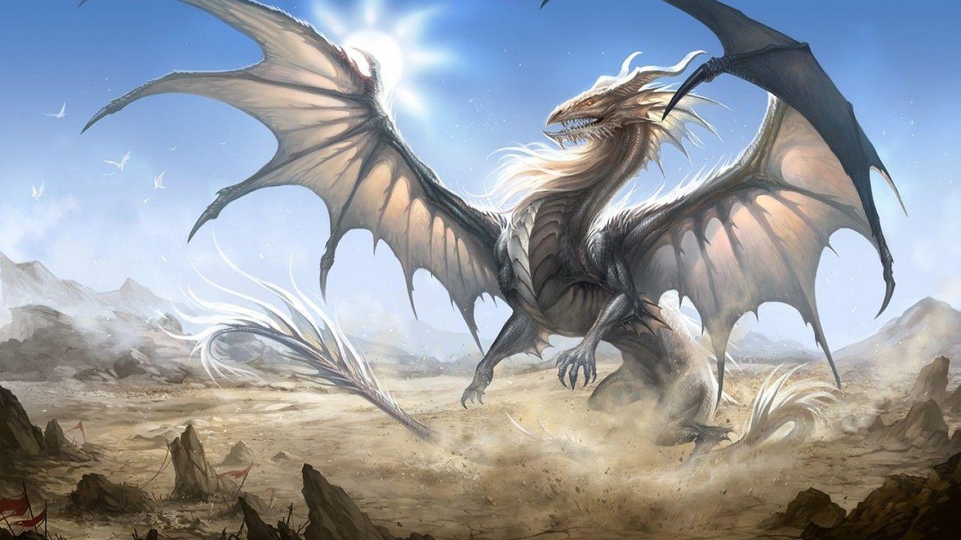 The stuff found on your pc. Hd White Dragon Wallpapers Wallpaper Cave