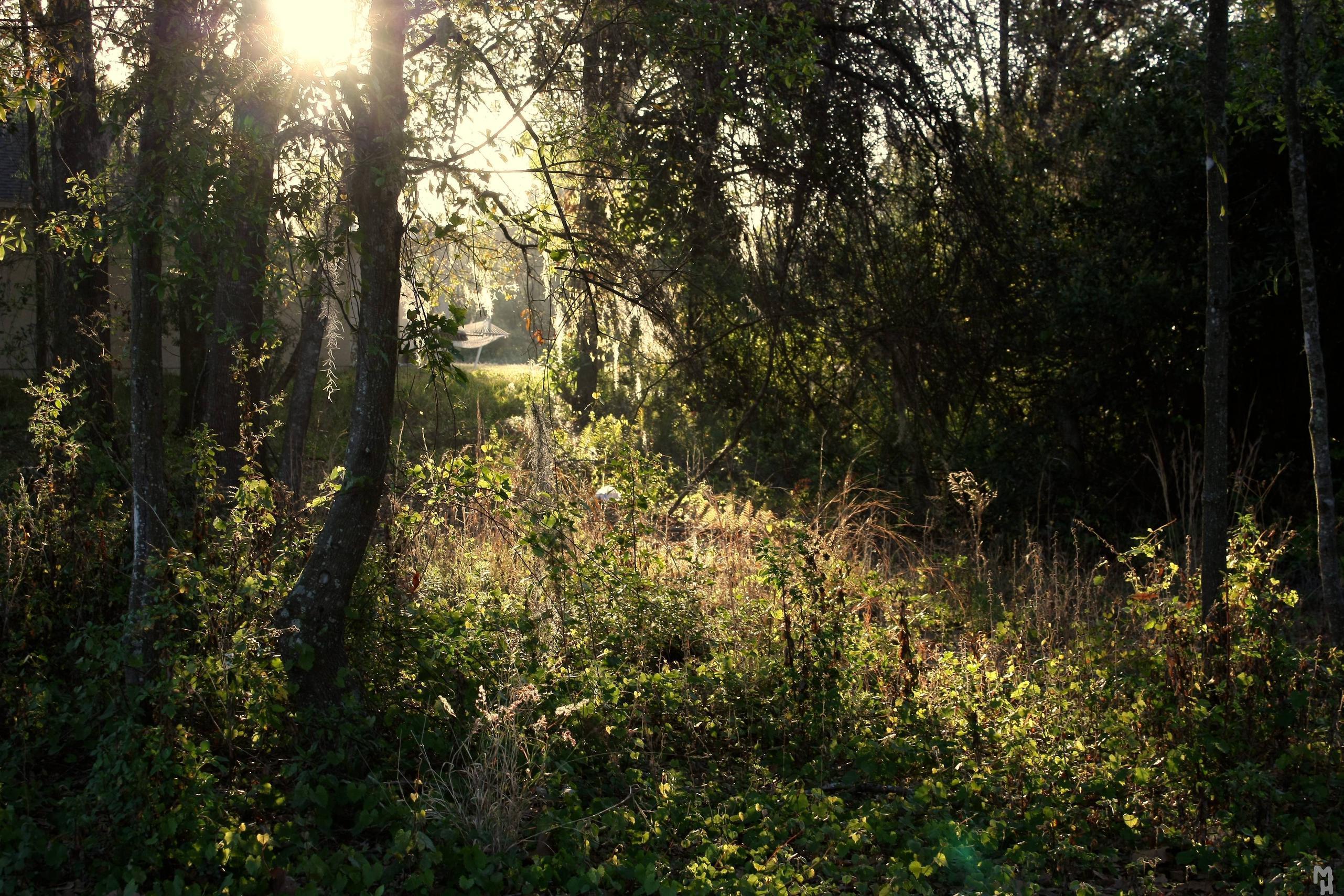 The original size of the images is 2000x1000/1500 pix and a file with the entire series can be downloaded at the. Enchanted Forest Backgrounds - Wallpaper Cave