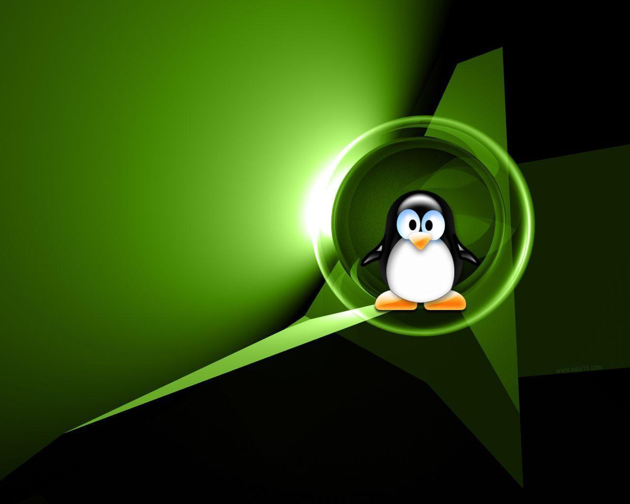 You will definitely choose from a huge number of pictures that option that will suit you exactly! Linux Tux Wallpapers Wallpaper Cave