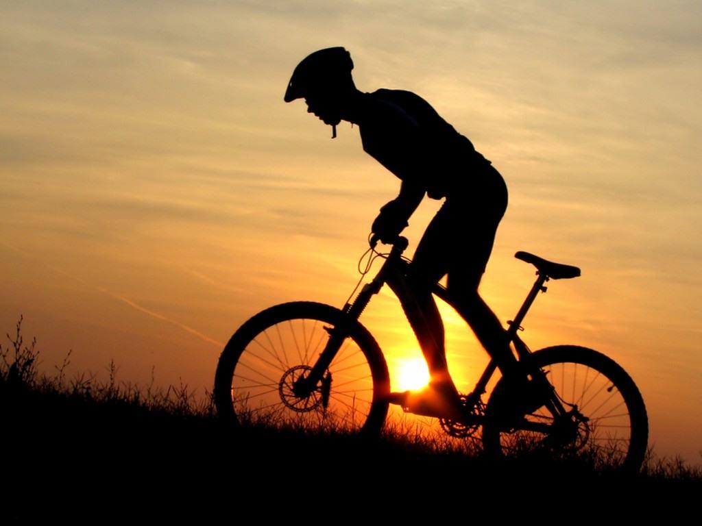 This forum is for sale! Mountain Bike Wallpapers Wallpaper Cave