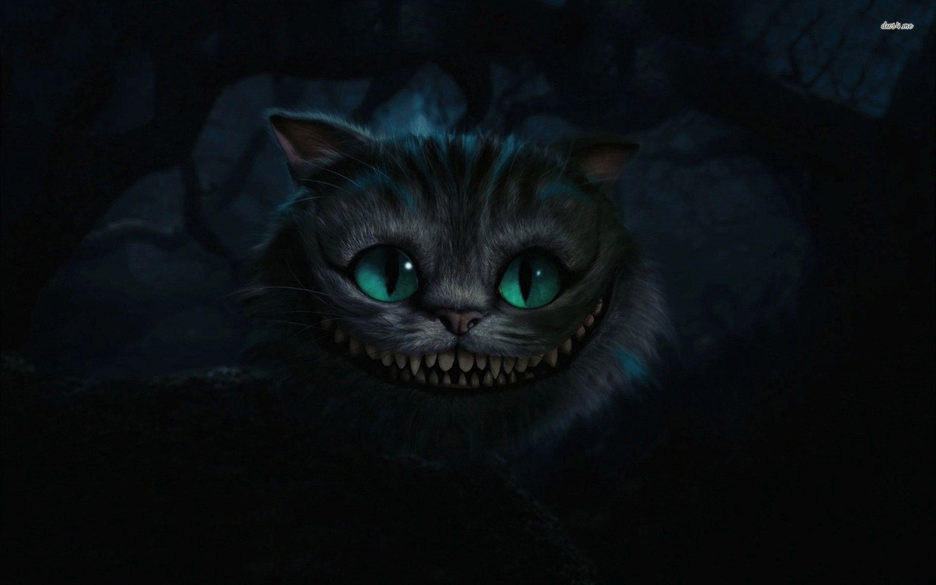 Both have provided services and companionship to humans for many centuries. Cheshire Cat Backgrounds Wallpaper Cave