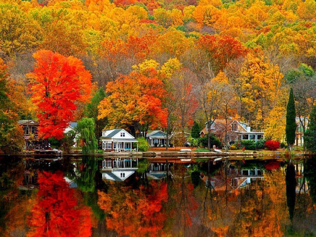 And while you can see fall foliage practically anywhere in the united states, there are some communities that just do the season better than others. Beautiful Autumn Scenery Wallpapers Wallpaper Cave
