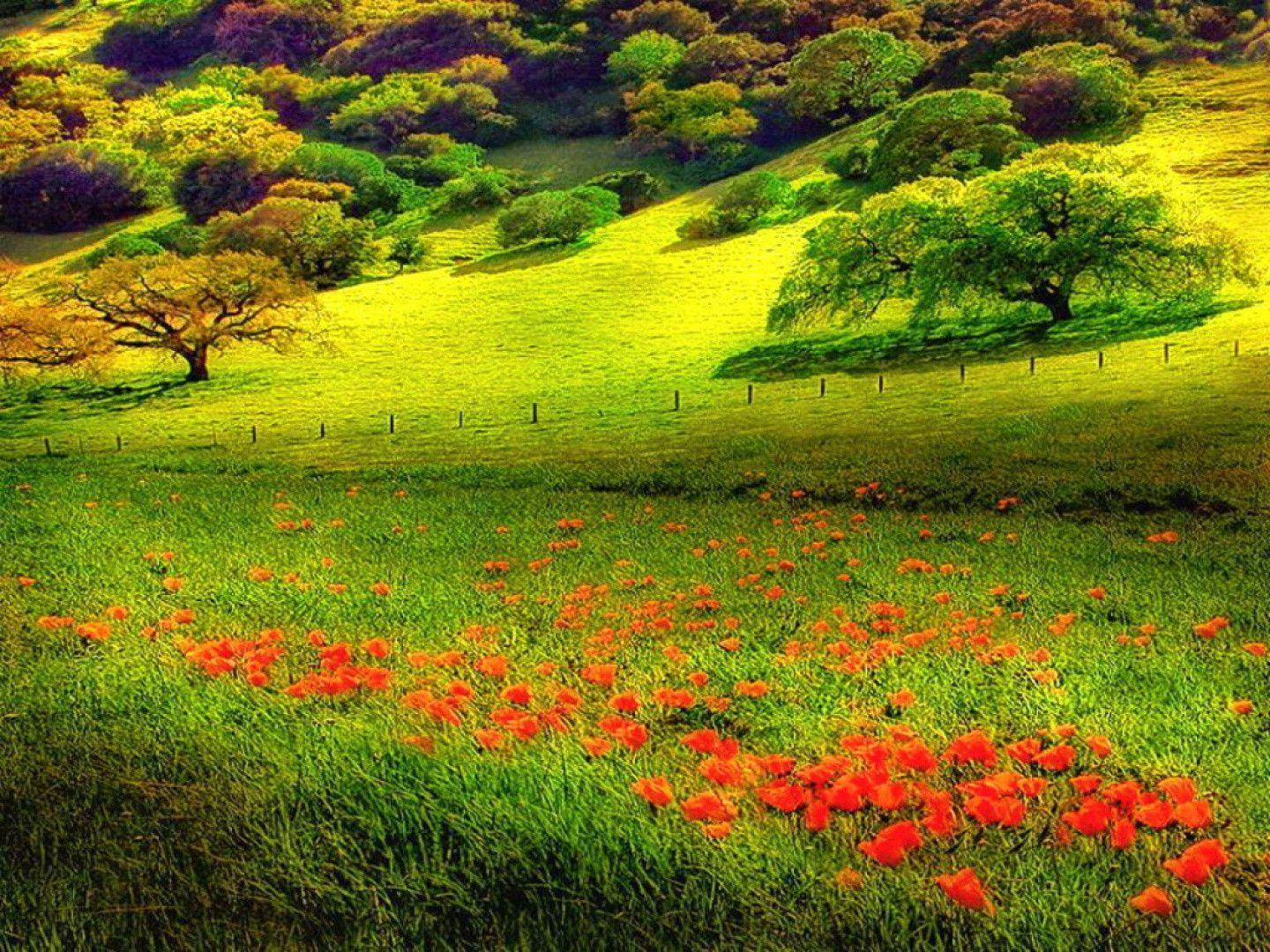 Tons of awesome desktop nexus wallpapers to download for free. Nexus Desktop Wallpapers Wallpaper Cave