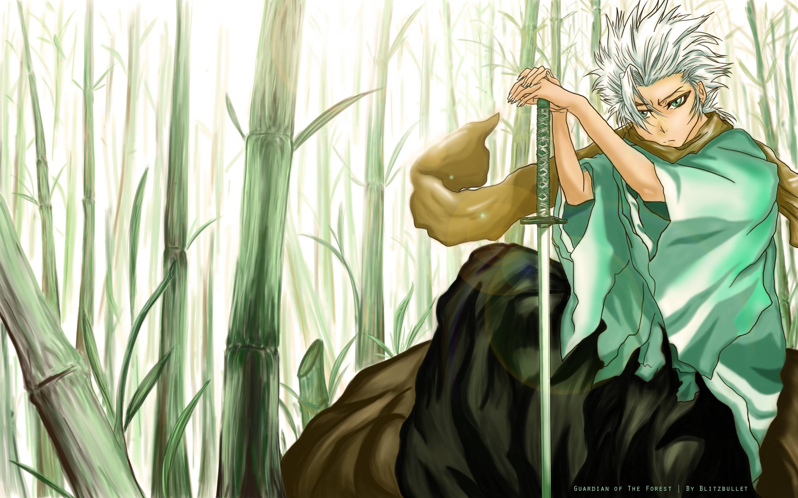 Alle artikel anzeigen, gruppiere nach motiv. Toshiro Hitsugaya Wallpapers - Wallpaper Cave