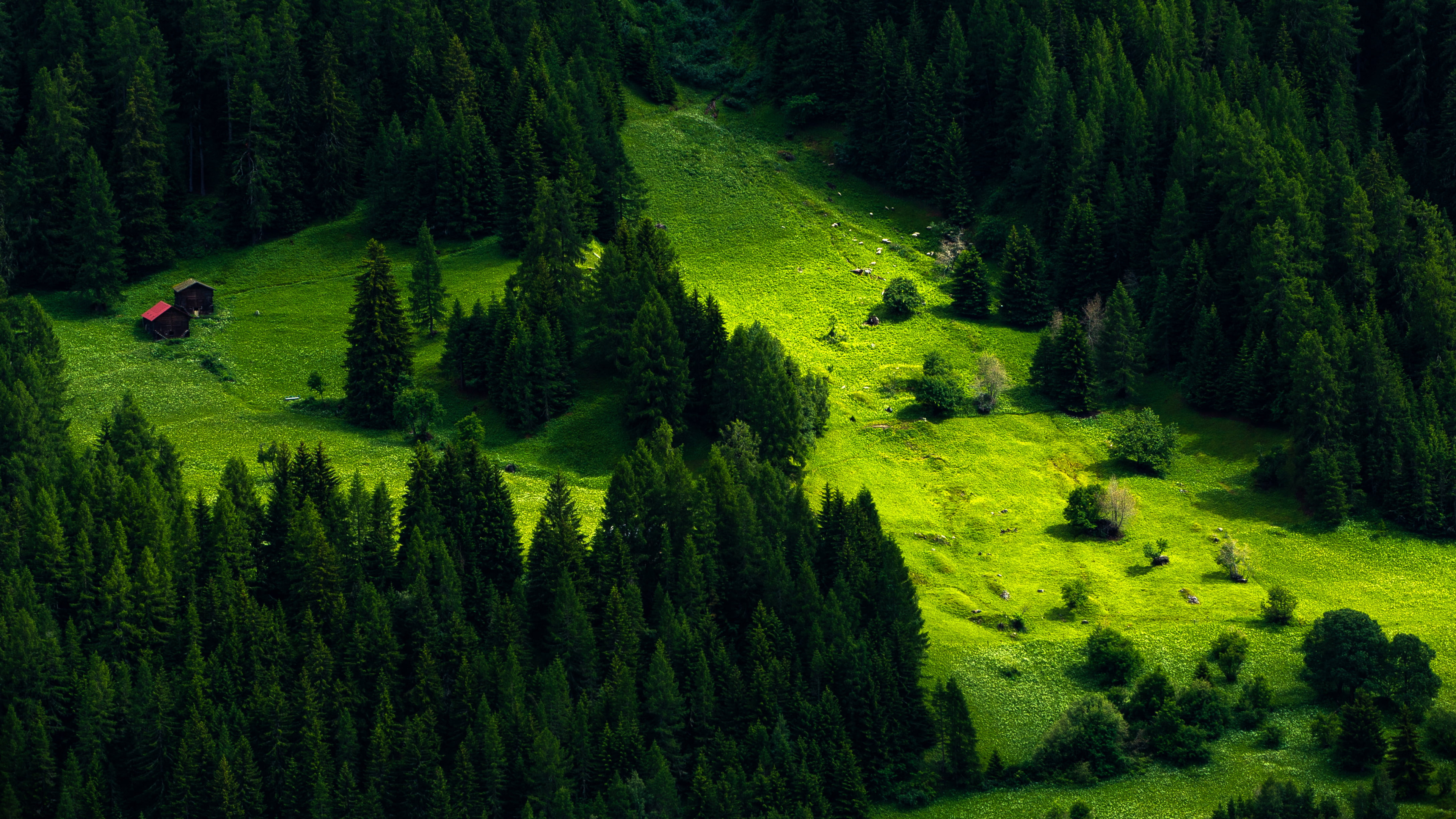 Check out some great models from samsung, toshiba and lg. 4k Nature Green Wallpapers Wallpaper Cave