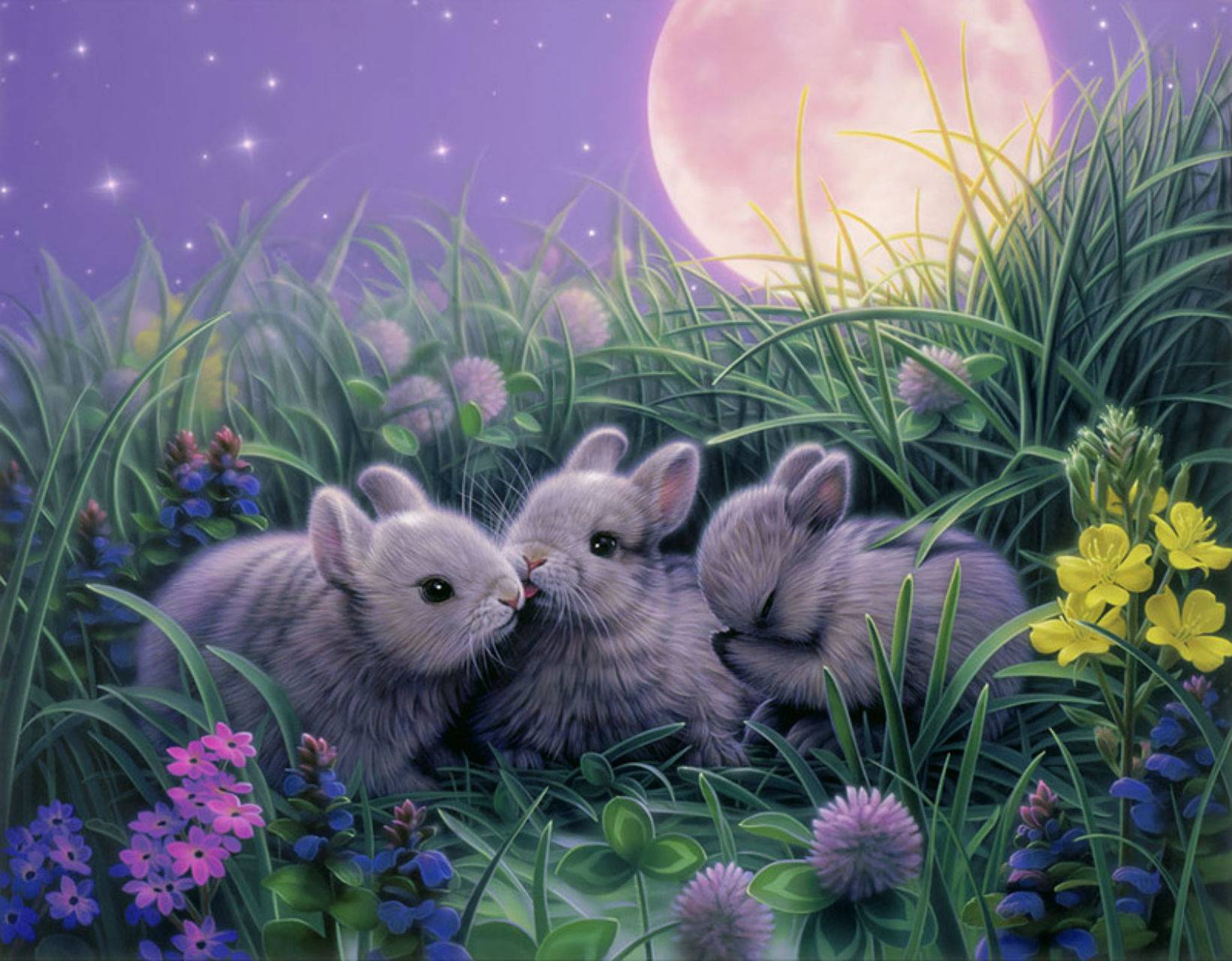 You can also upload and share your favorite baby bunnies wallpapers. Stars And Bunny Wallpapers Wallpaper Cave