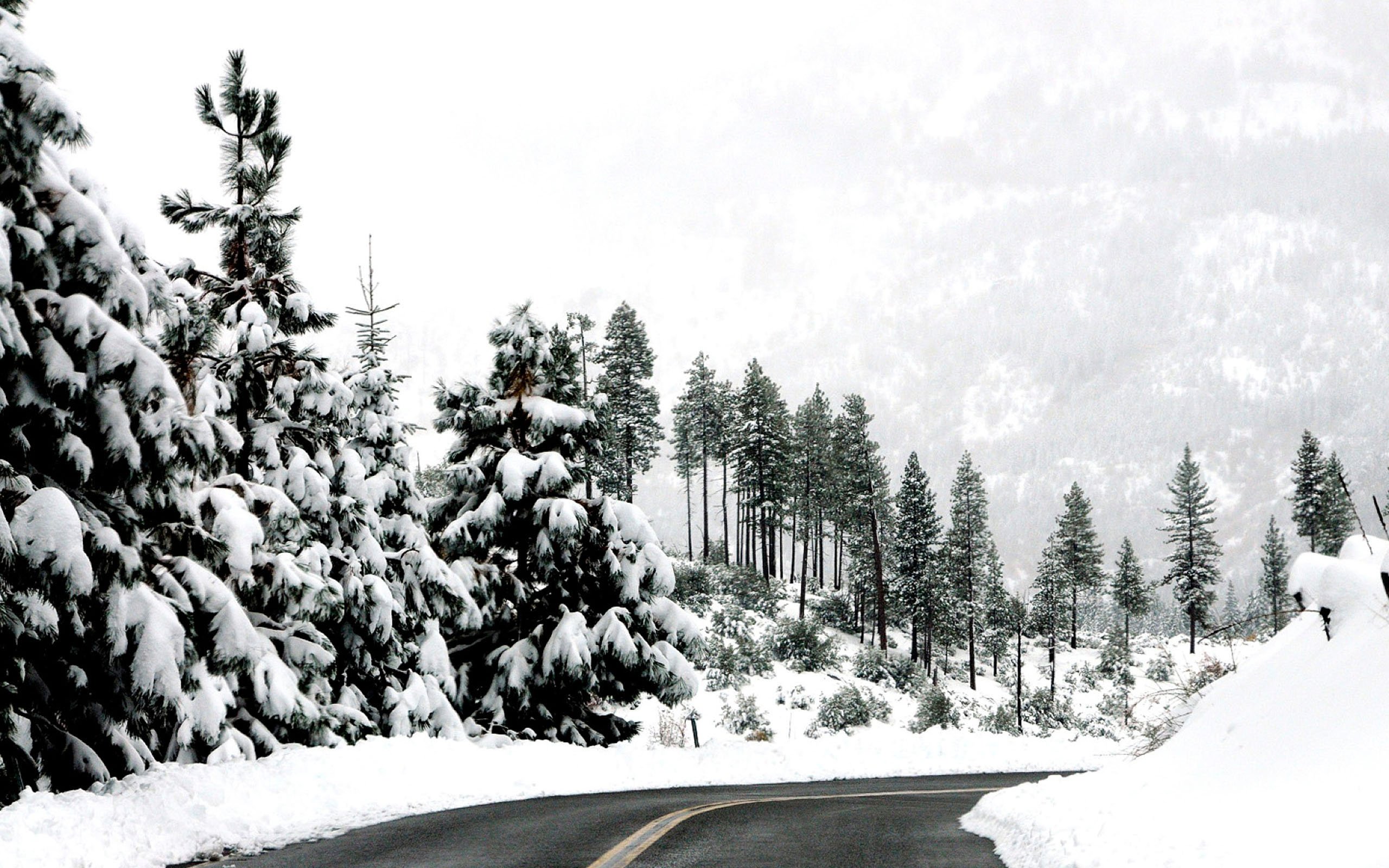 Winter wonderland icons for mac os v.2.0 this fun and bright set of desktop icons is now complete with 512x512 sizes for leopard and even includes new, iphone inspired versions as well. Winter Aesthetic Mac Wallpapers Wallpaper Cave