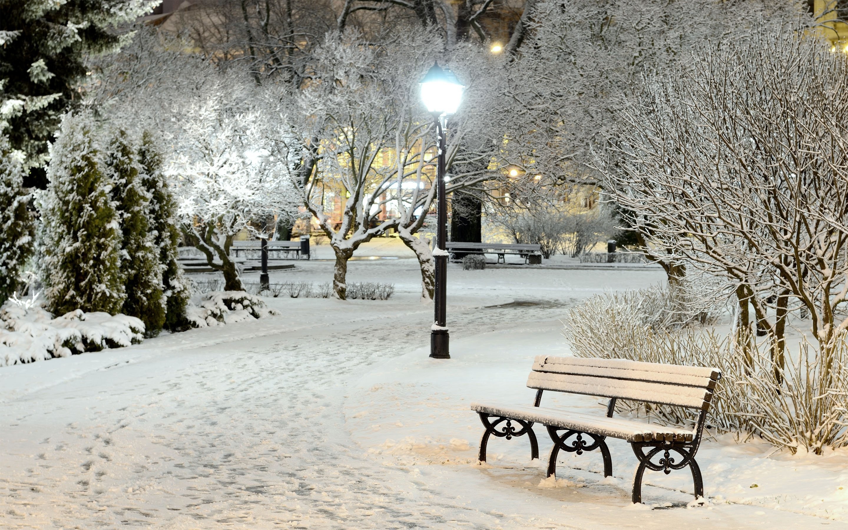 Find over 100+ of the best free winter landscape images. Park Winter Scene Wallpapers Wallpaper Cave