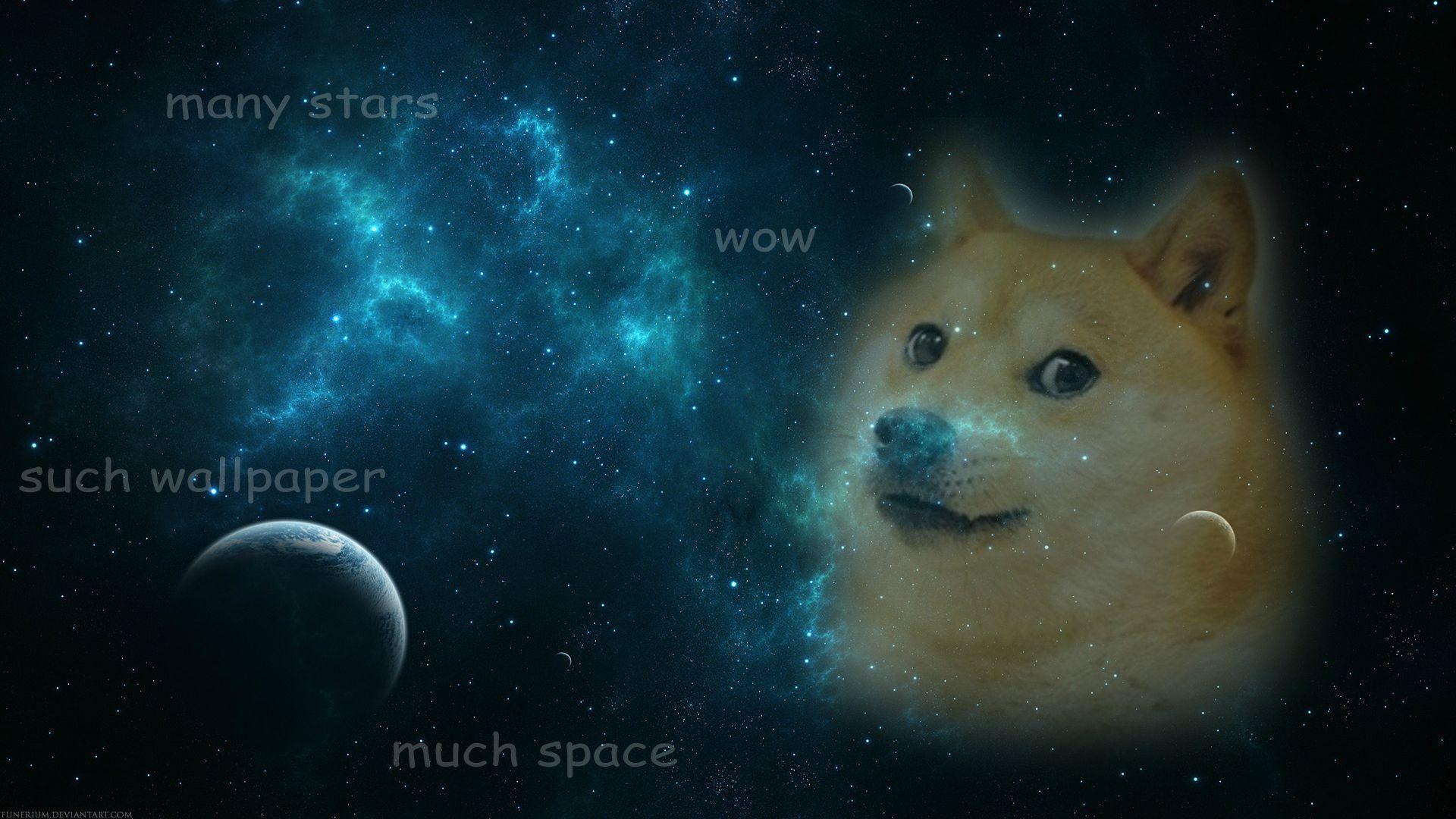 Tons of awesome 1080x1080 wallpapers to download for free. Doge Wallpapers - Wallpaper Cave