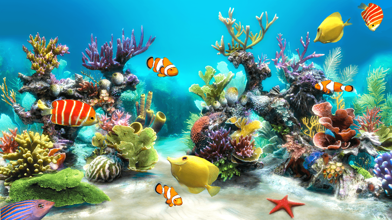 Load all your personal video files into this app and set it as your wallpaper . Live Wallpapers Wallpaper Cave
