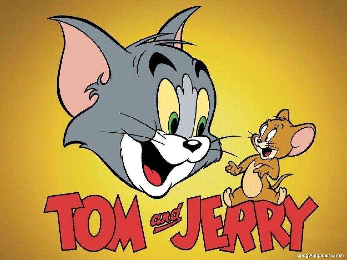 4494104 adorable tom and jerry images high quality, 800x507. Tom And Jerry Wallpapers Wallpaper Cave