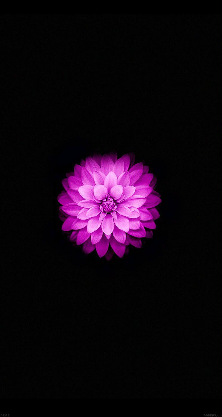 39+ Iphone 6 Plus Wallpaper
 Background