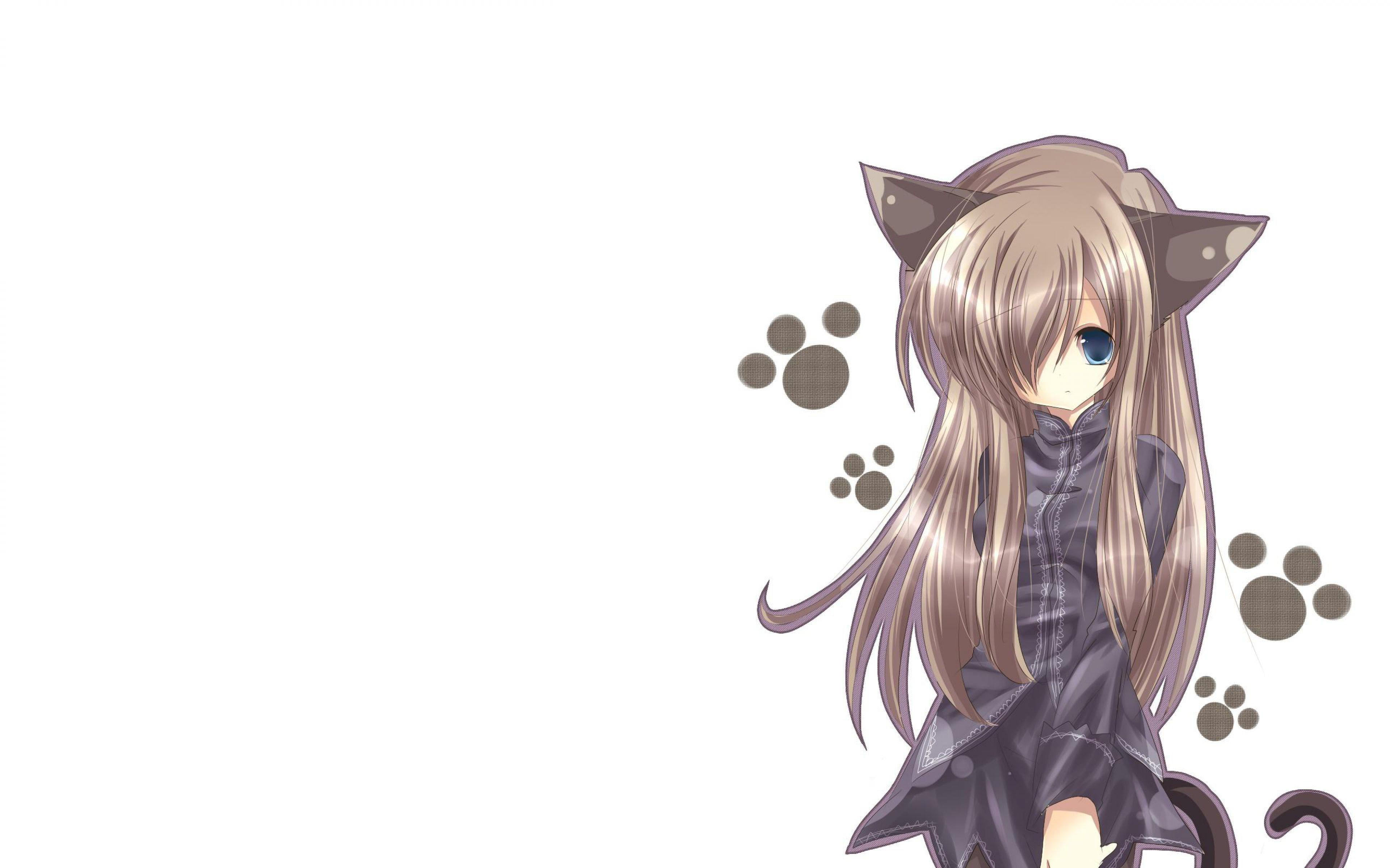 Catgirl Wallpapers Wallpaper Cave