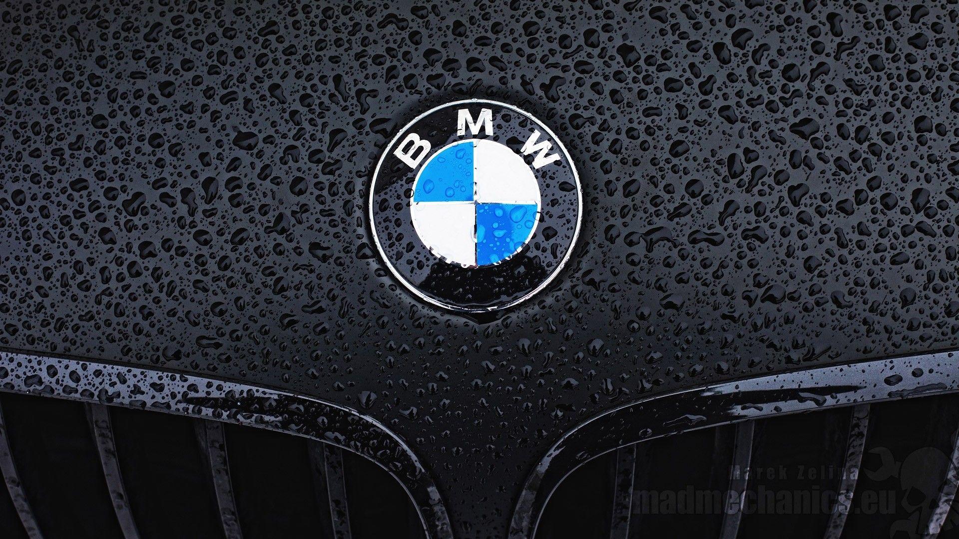 4k hd of a collection car logos bmw logo wallpapers computer screen. Logo Bmw Wallpapers Wallpaper Cave