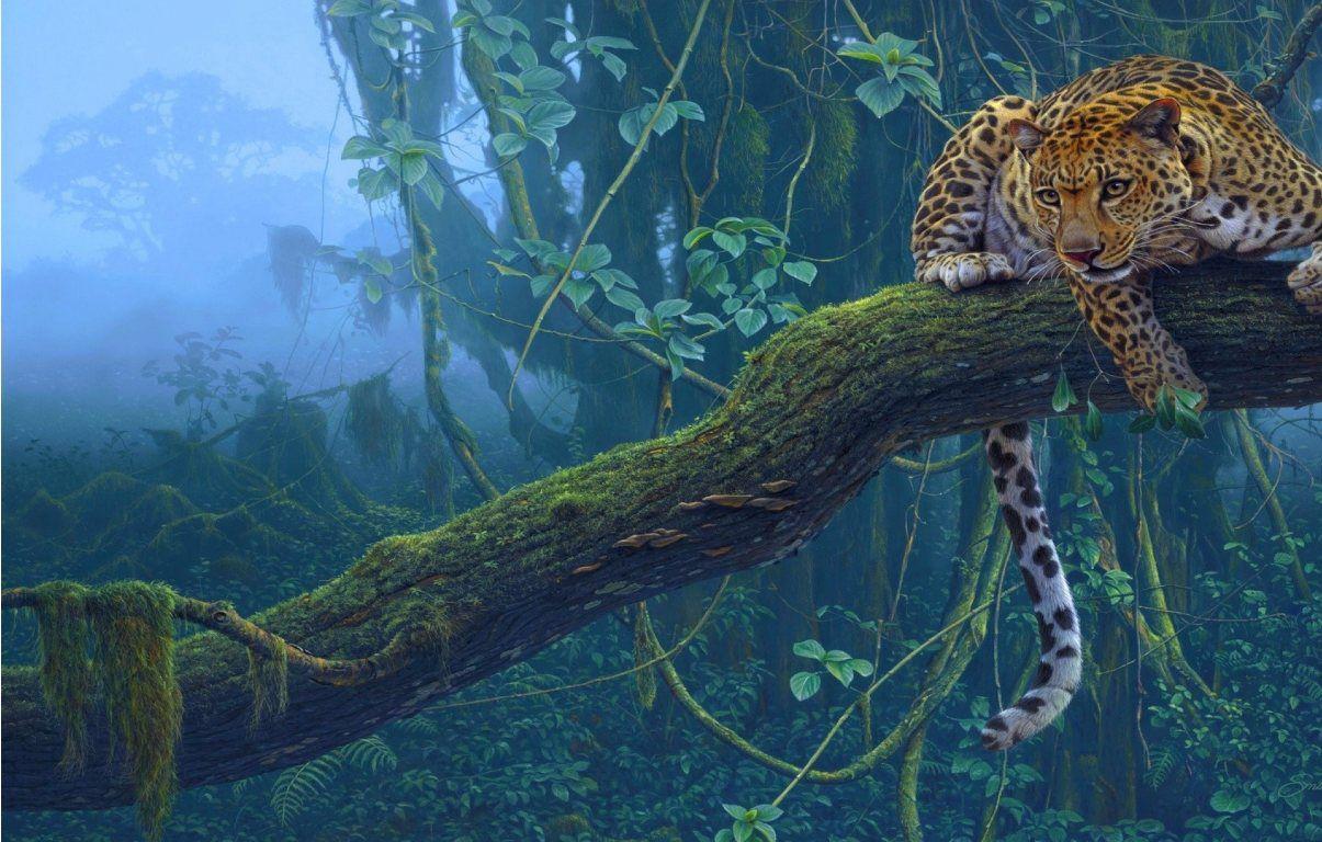 Tons of awesome wallpapers earth to download for free. Guyana Wallpapers - Wallpaper Cave