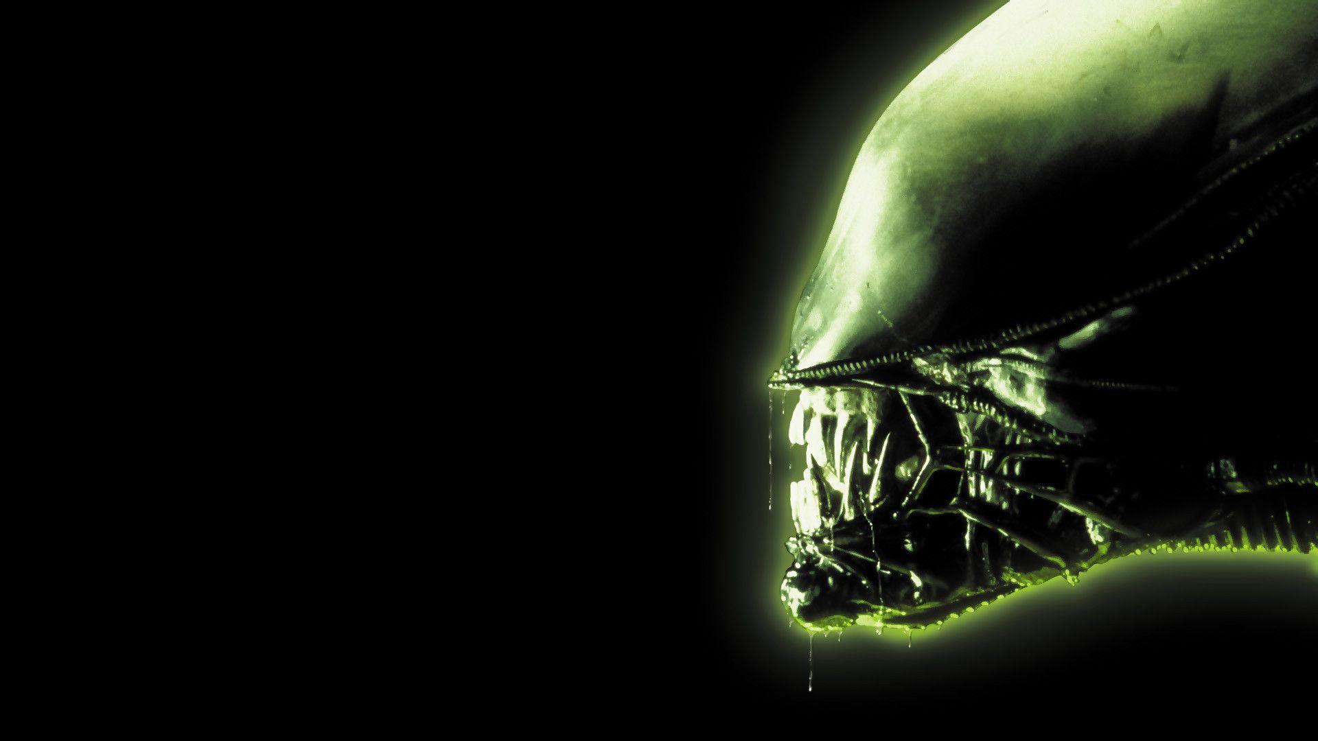 Follow the vibe and change your wallpaper every day! Aliens Wallpapers Wallpaper Cave