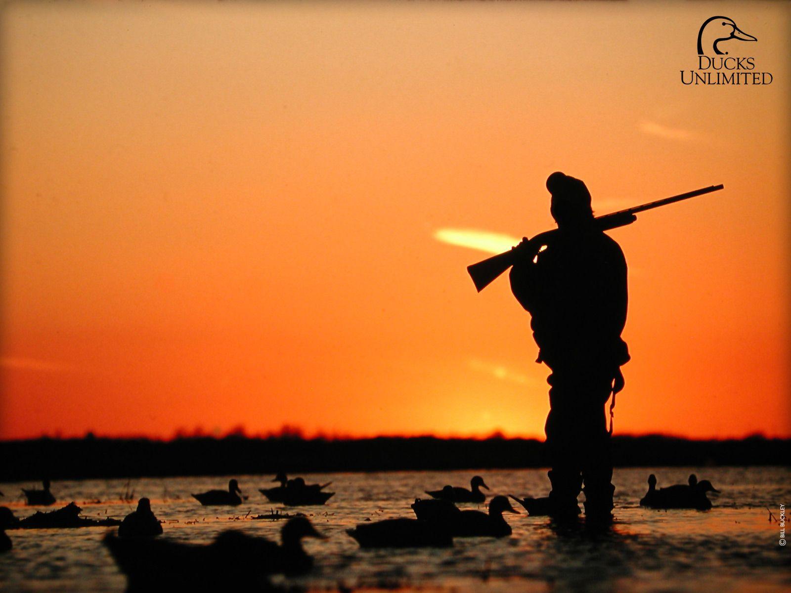 Learn what makes each one distinct and which ducks are which with these descriptions and photos. Duck Hunting Wallpapers Wallpaper Cave