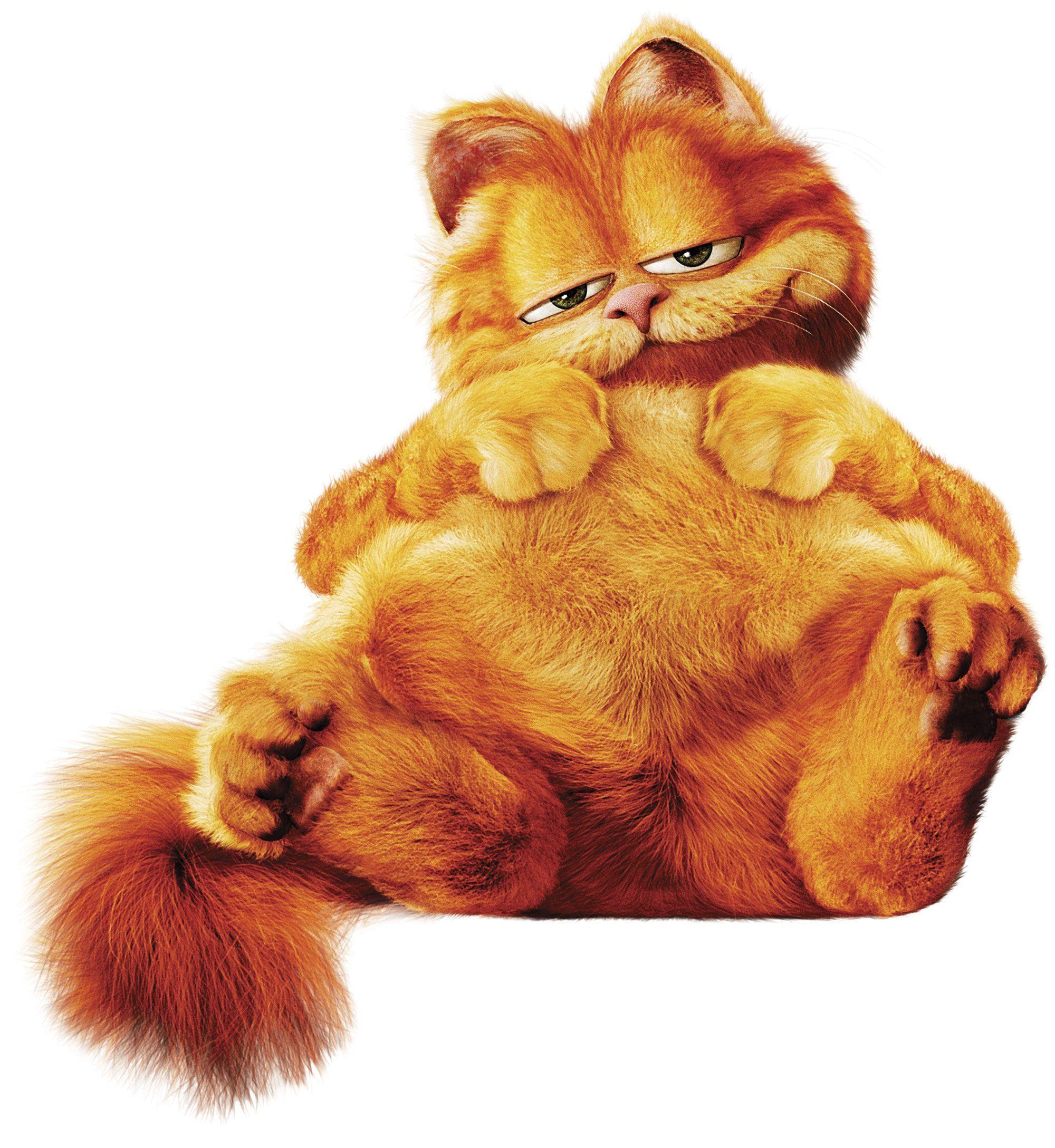 Garfield Wallpapers 3d Wallpaper Cave