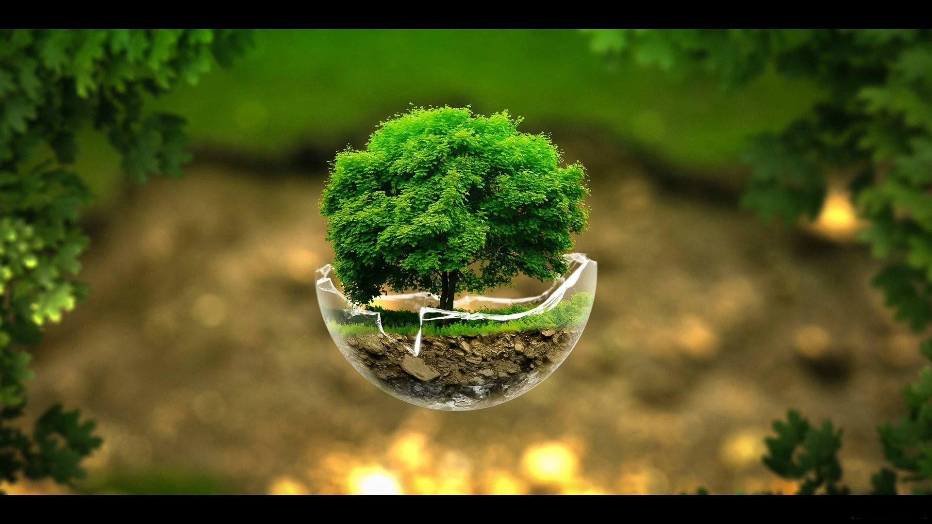 If you have ever changed the wallpaper in windows, you've probably noticed the ridiculous number of useless wallpapers that come with the system by default. Prettiest Desktop Wallpapers Wallpaper Cave