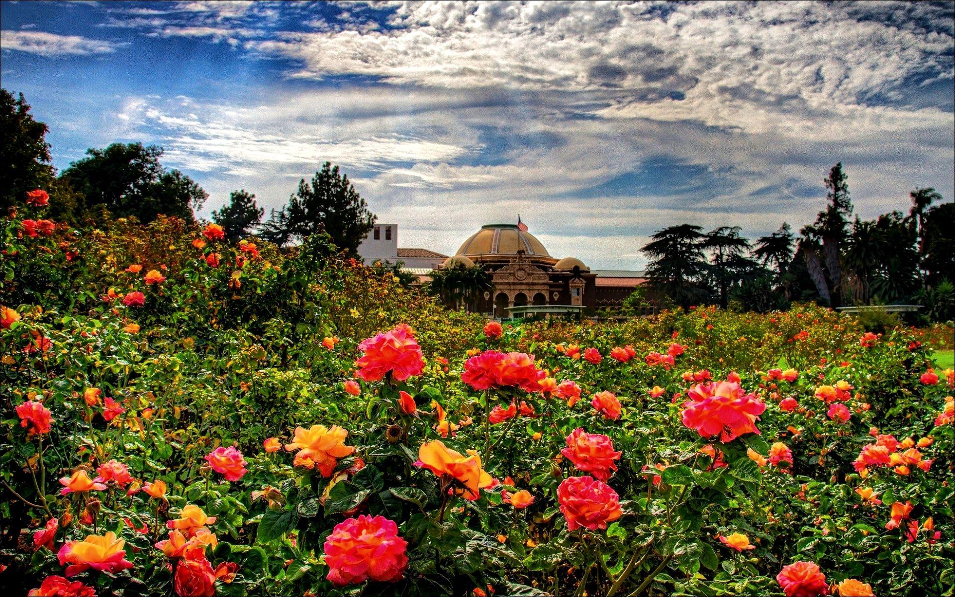 Your rose garden stock images are ready. Rose Garden Wallpapers Wallpaper Cave