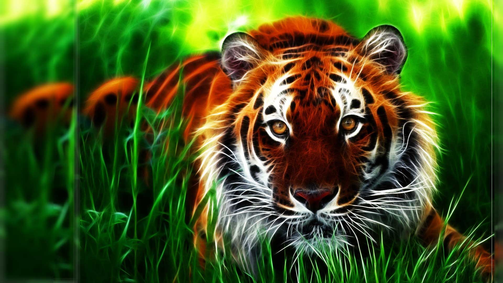 Adorable pics of baby animals bring instant happiness. Hd Wallpapers For Pc Full Screen For Boys Wallpaper Cave