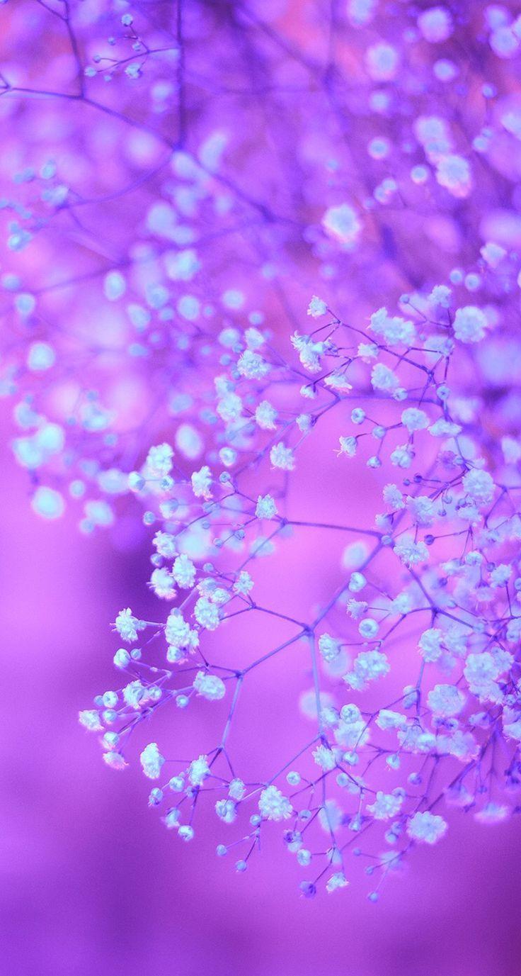 You can also upload and share. Cute Purple Wallpapers For Iphone - Wallpaper Cave