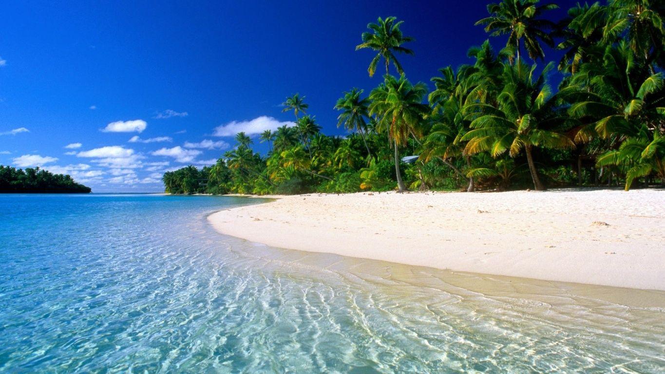 Add some eye candy to your spreadsheets you can enhance the appea. Exotic Beach Wallpapers Wallpaper Cave