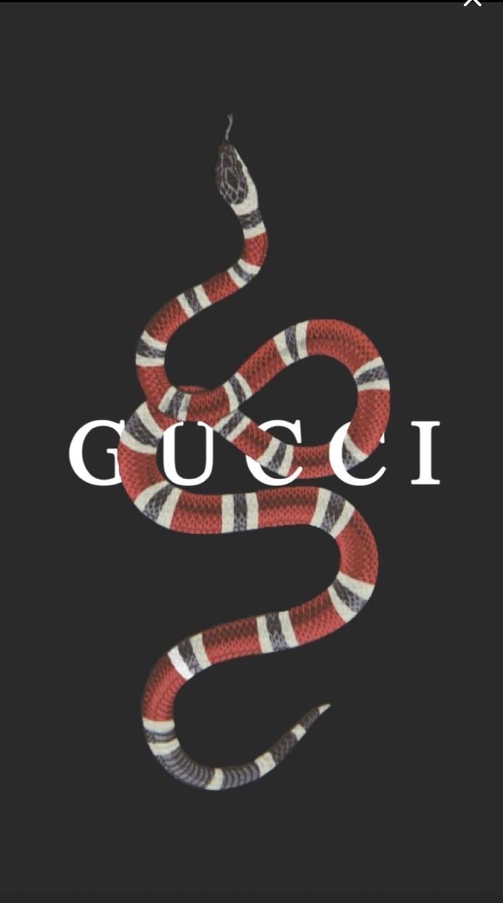 Gucci Snake Wallpaper 4K : Gucci Bart Wallpapers - Wallpaper Cave