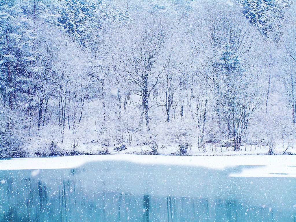 Choose from hundreds of free winter pictures. Beauty Of Winter Wallpapers Wallpaper Cave