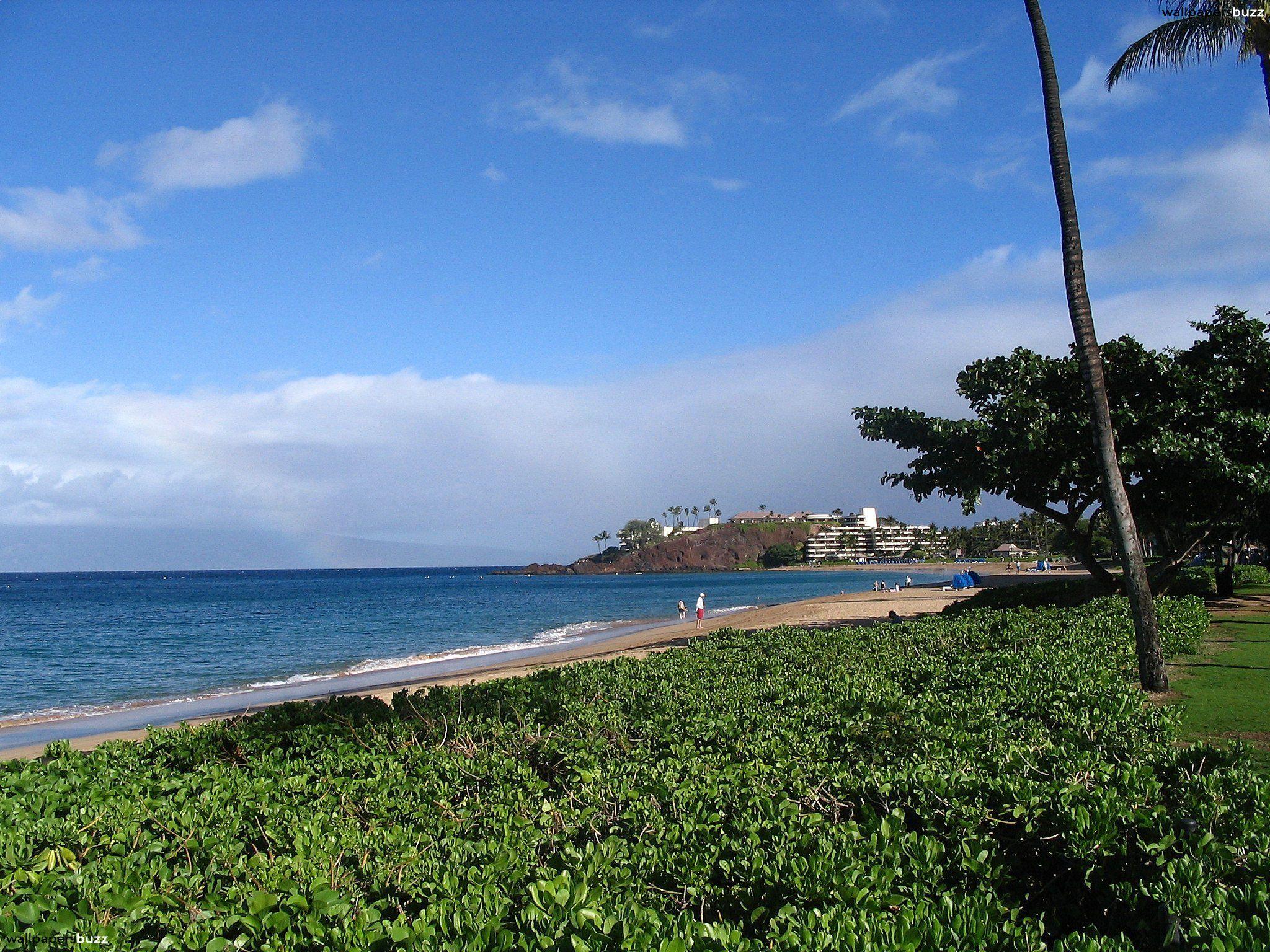 Create your own toon and join the battle to save toontown from the evil robot cogs . Kaanapali Beach Wallpapers - Wallpaper Cave