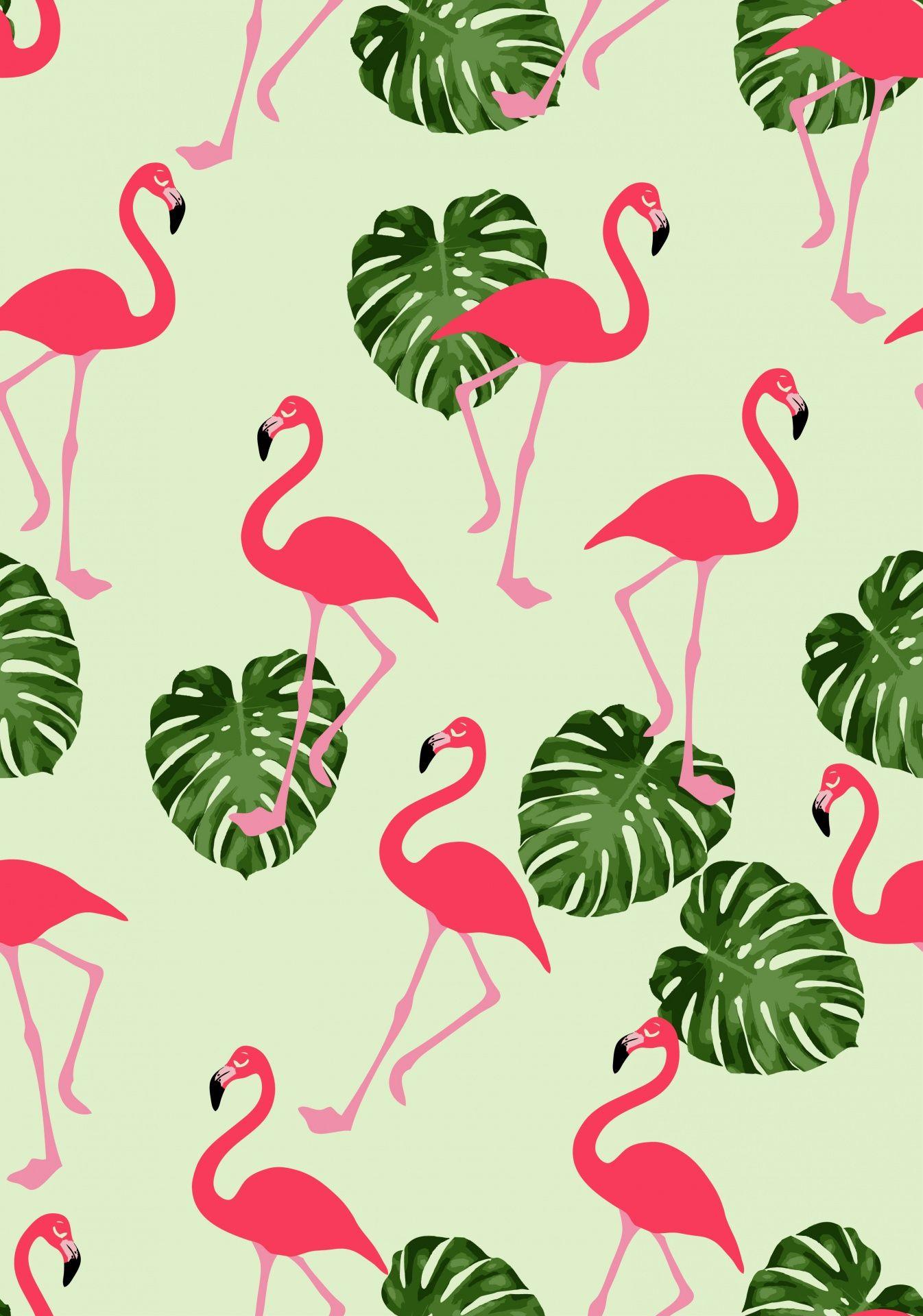 Find your perfect cute wallpaper and use it on your phone, lockscreen, desktop and more. Flamingo Wallpapers Wallpaper Cave