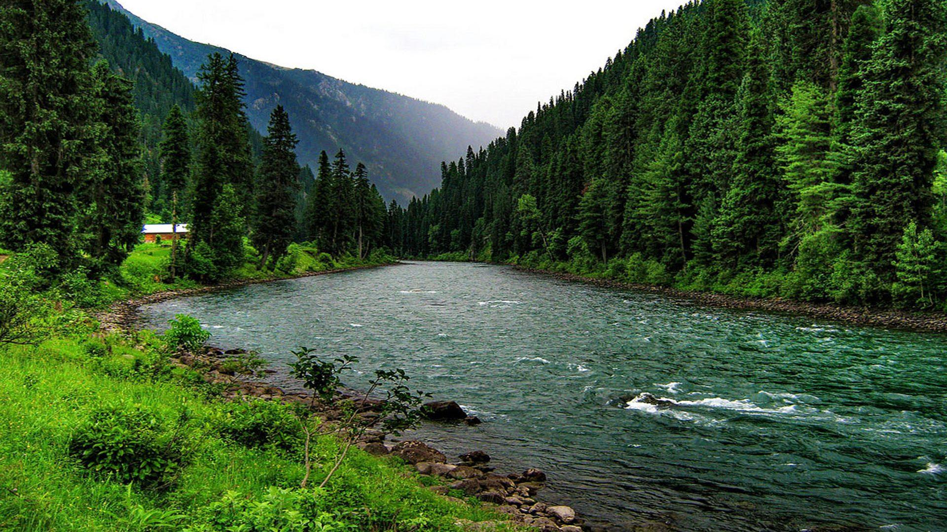 Forest River Rv Wallpaper : Forest River 1920x1080 Wallpaper Teahub Io :