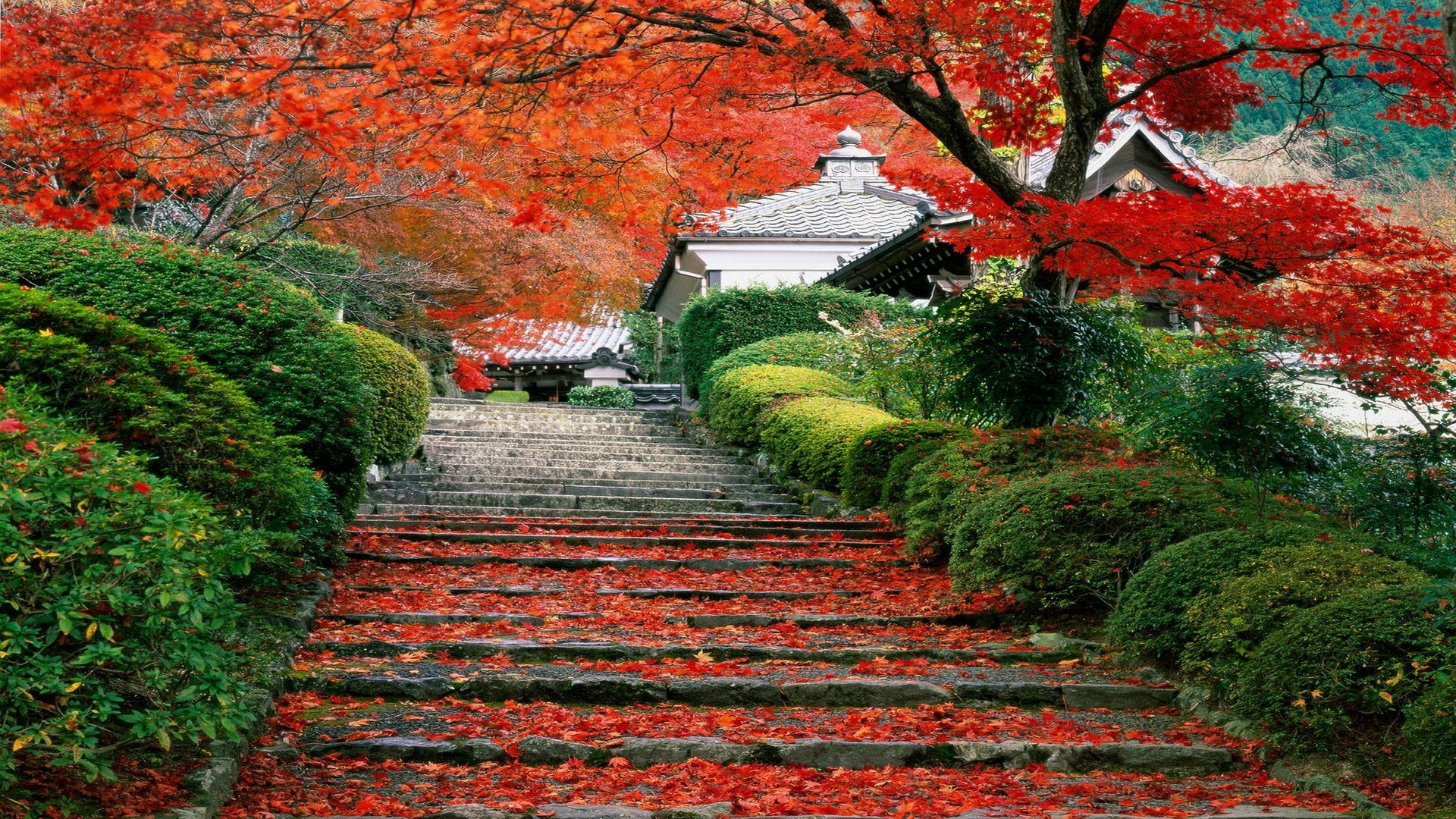 Here's where you'll find fresh ideas and tips for gardens, paths, sheds, lawns, ponds, and fountains. Japanese Autumn Wallpapers Wallpaper Cave