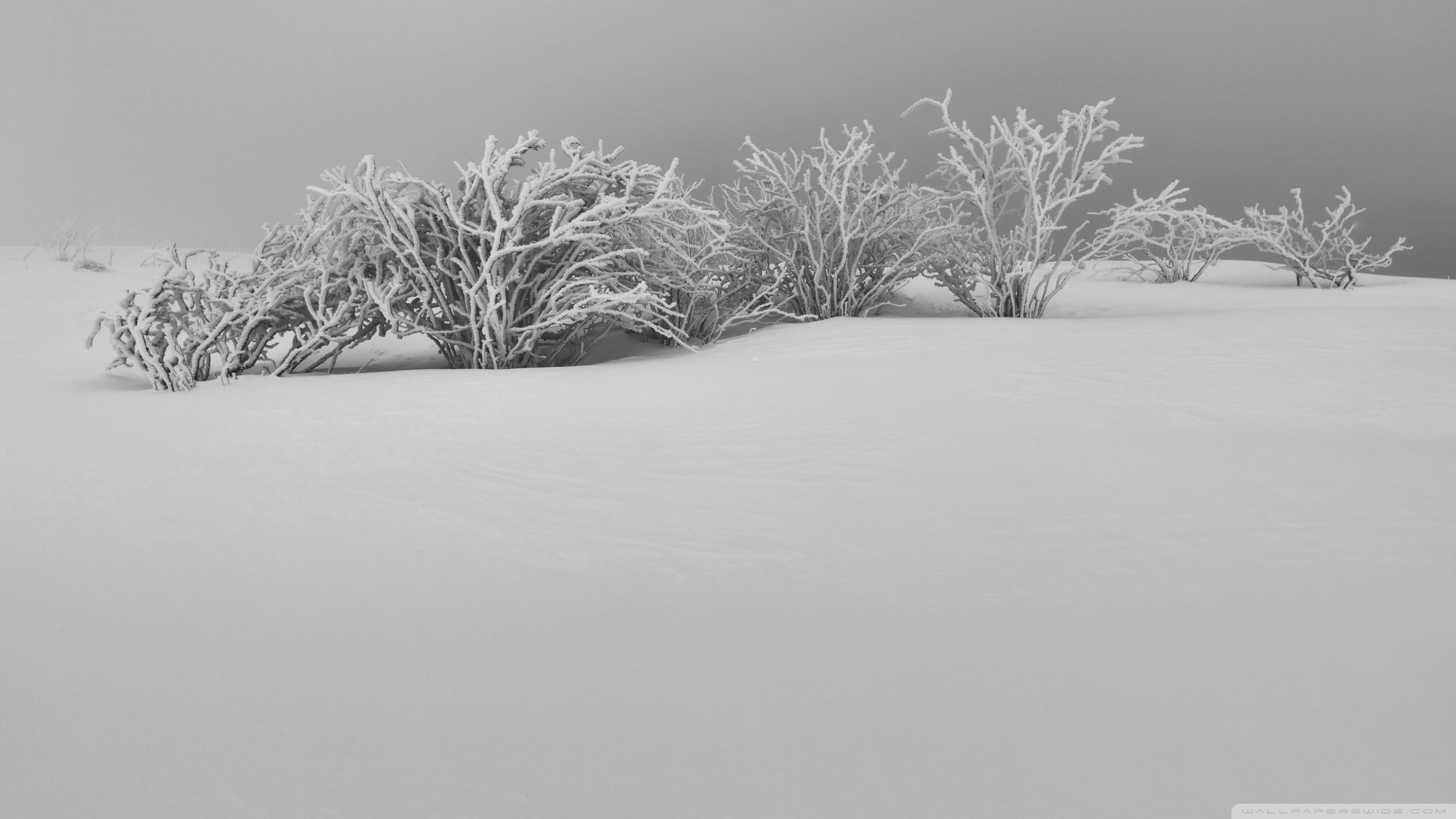 You can use wallpaper of white aesthetic … Aesthetic White Hd Wallpapers Wallpaper Cave
