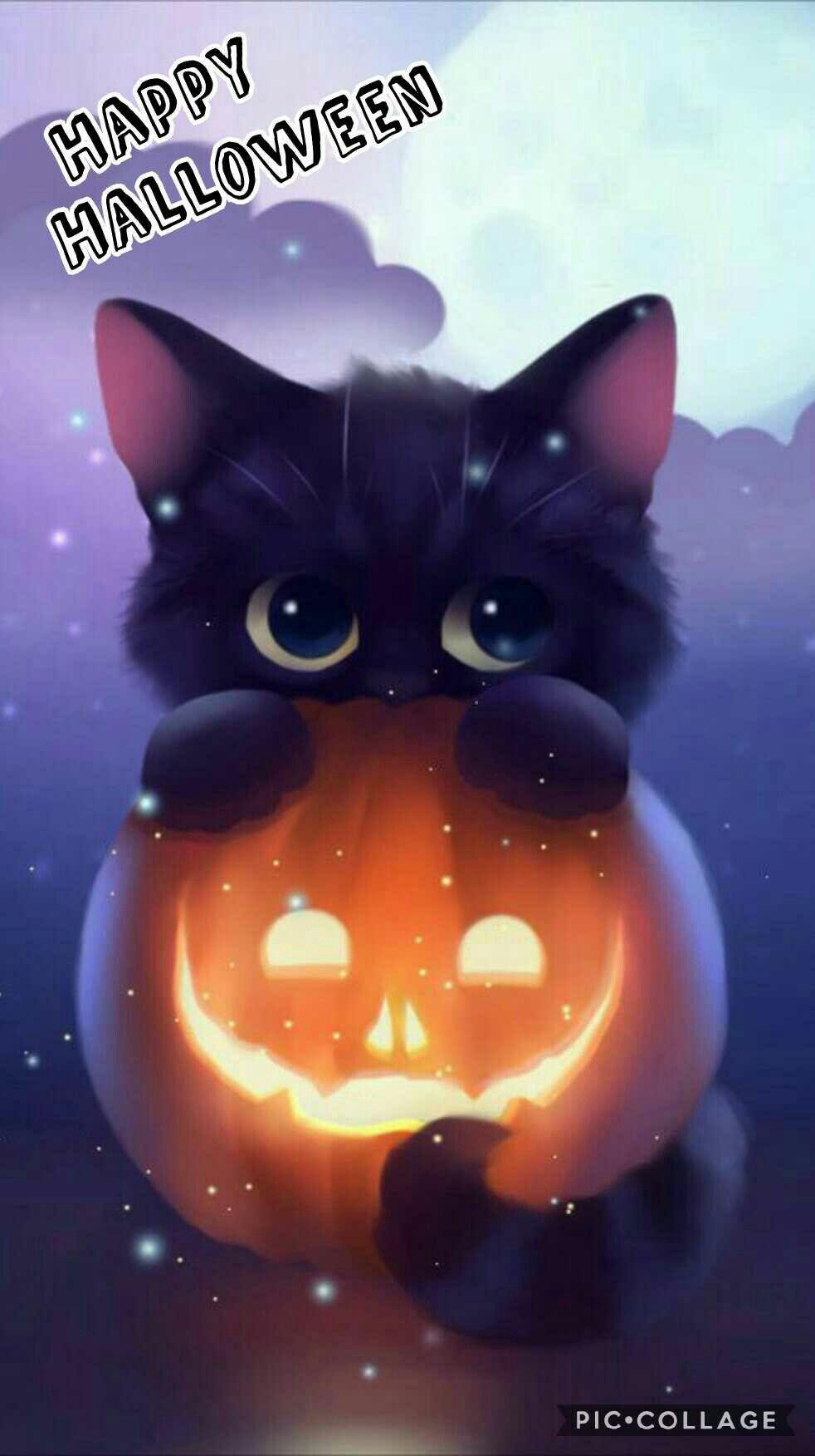 Halloween wallpaper black cat 53 halloween illustration wallpaper black cat jack o lanterns hd wallpapers 70505. Kawaii Black Cat Halloween Wallpapers Wallpaper Cave