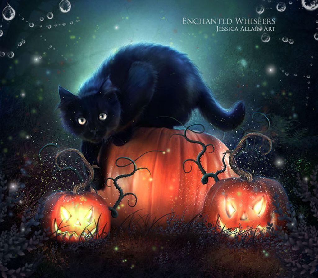 3d cute halloween cat wallpaper iphone is the best high definition iphone wallpaper in 2021. Cute Halloween Cats Wallpapers Wallpaper Cave